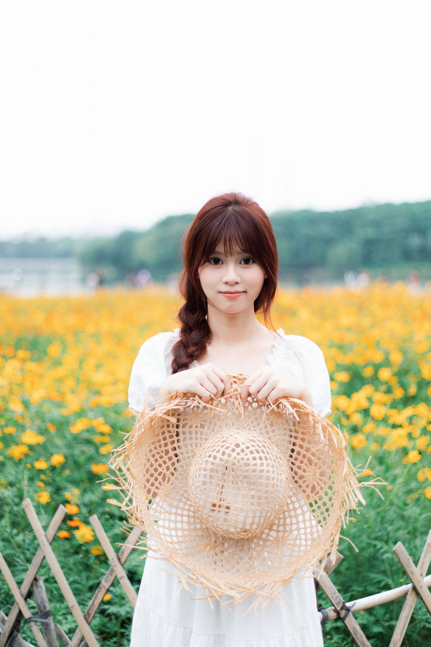 ID12398黄金花海-妍画集