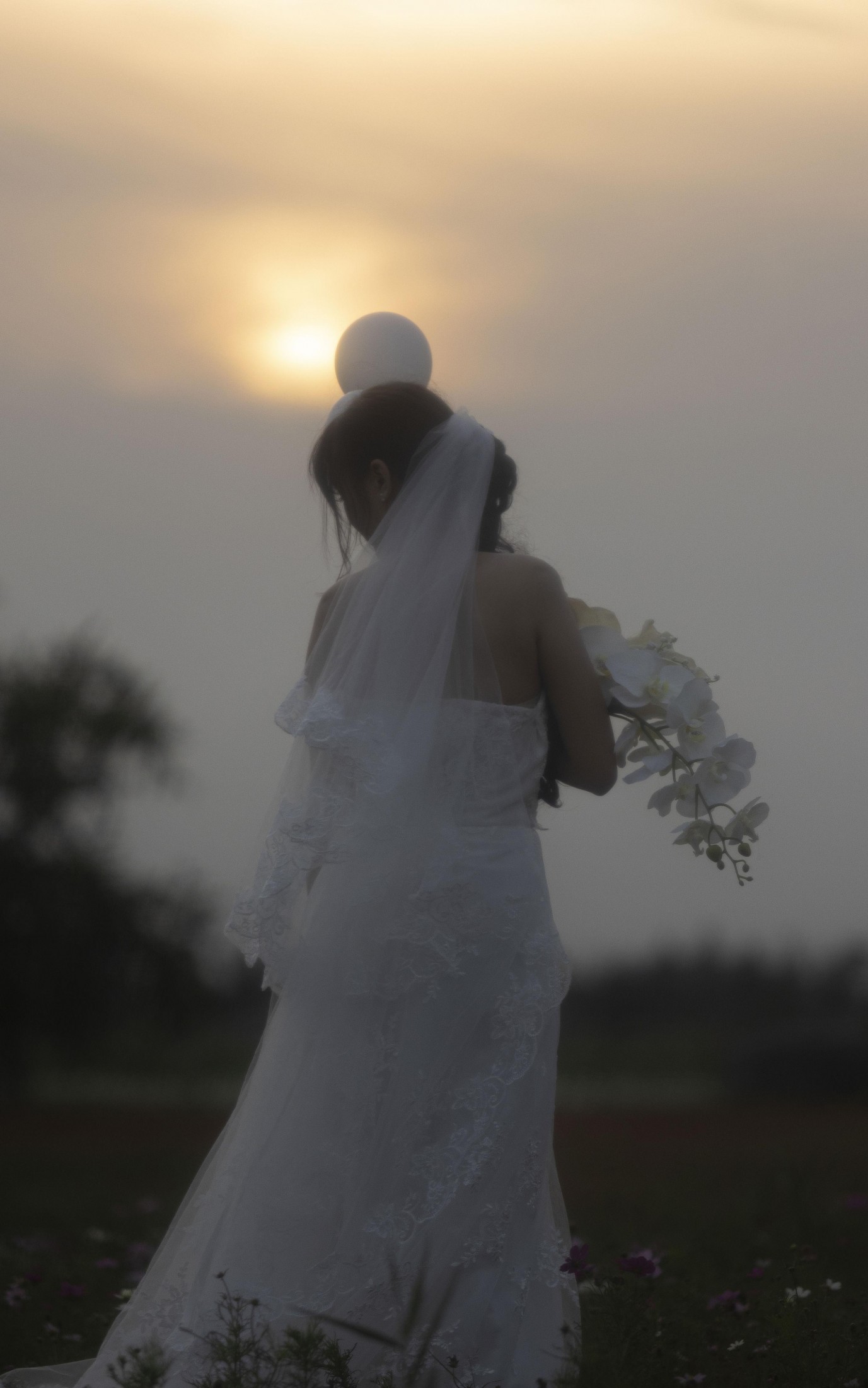 土豆 - 《十月的花海》[15P] 插图2