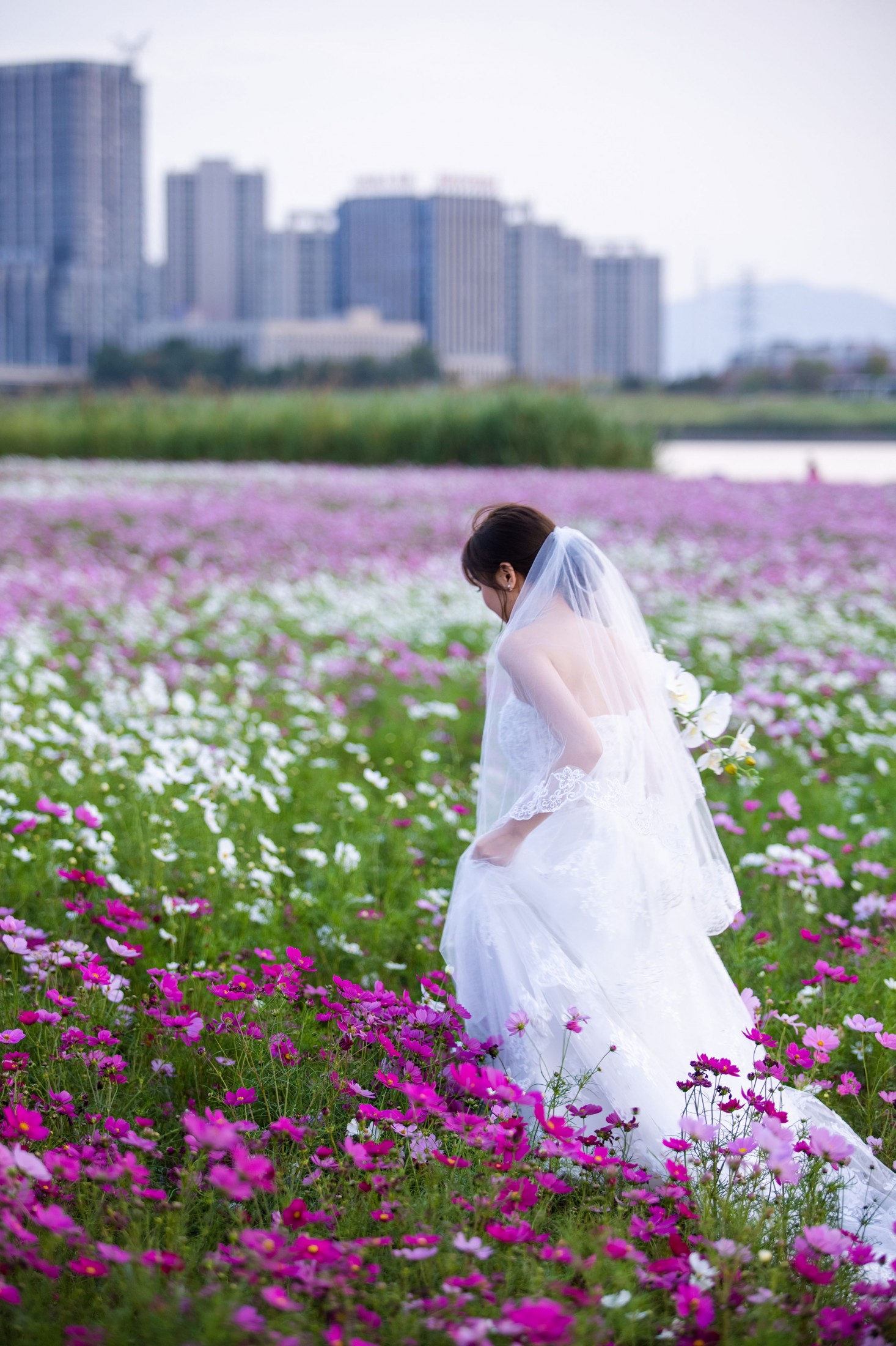 土豆 - 《十月的花海》[15P] 插图4