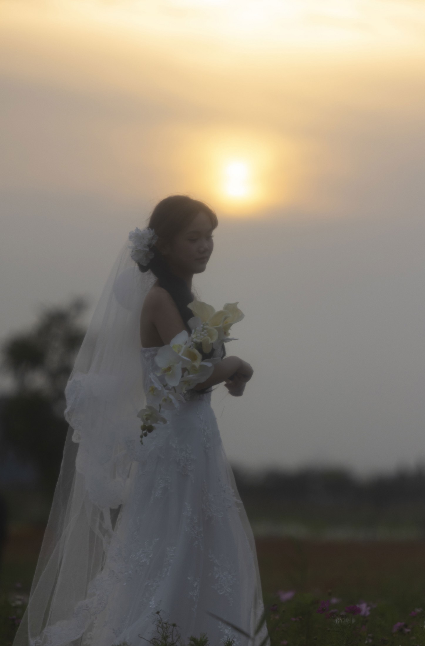 ID12409十月的花海-妍画集