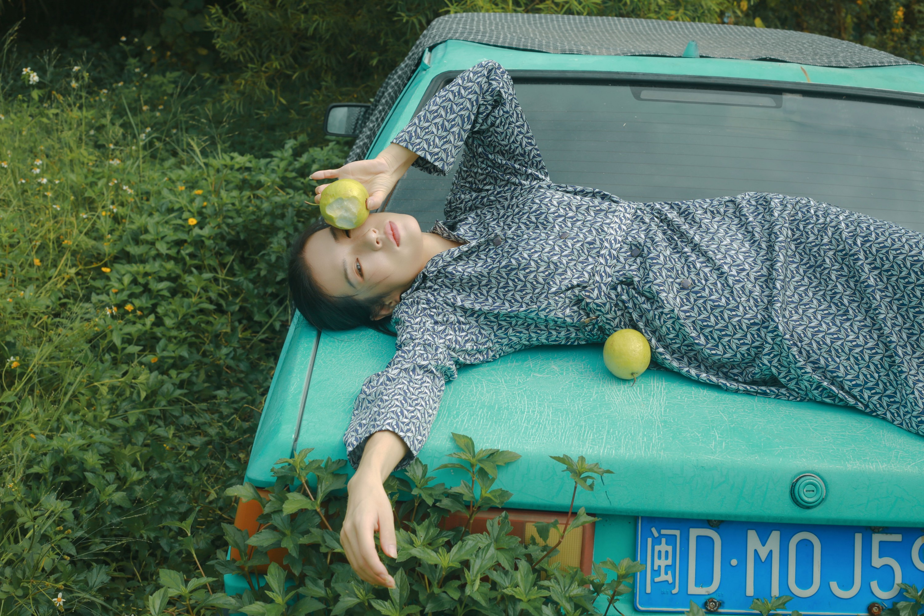 ID12380诗-妍画集