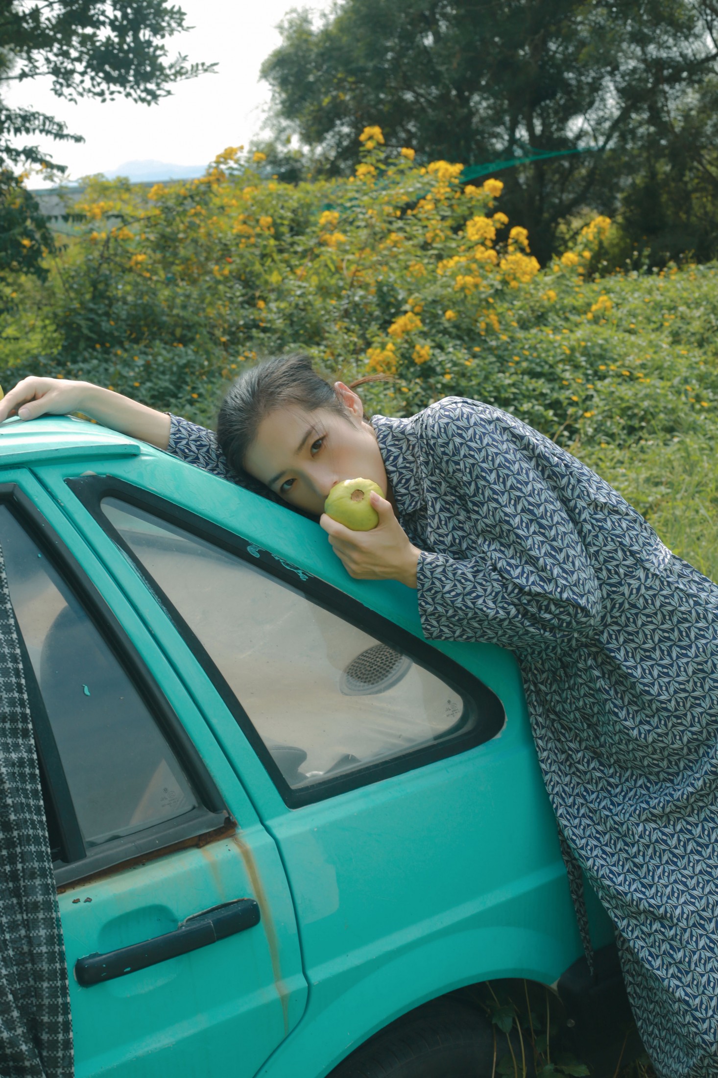 《诗》[16P] 插图4