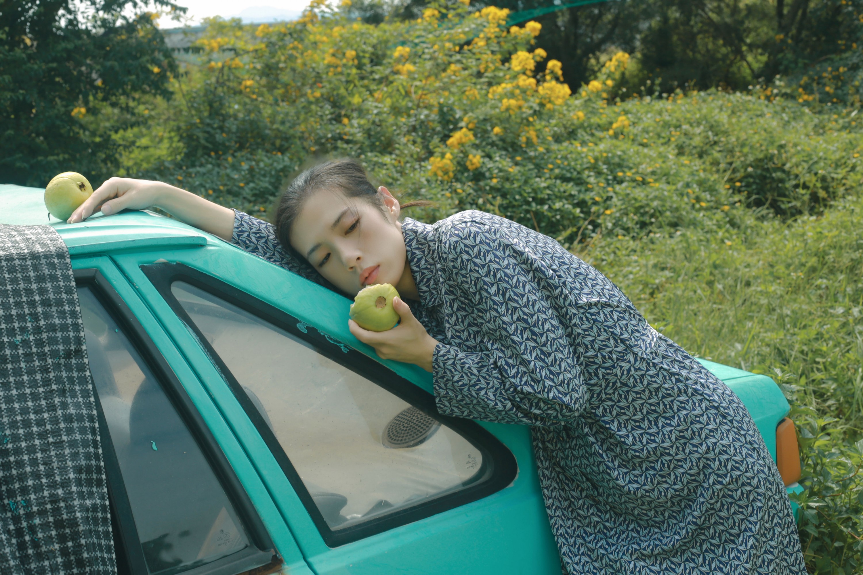 《诗》[16P] 插图5