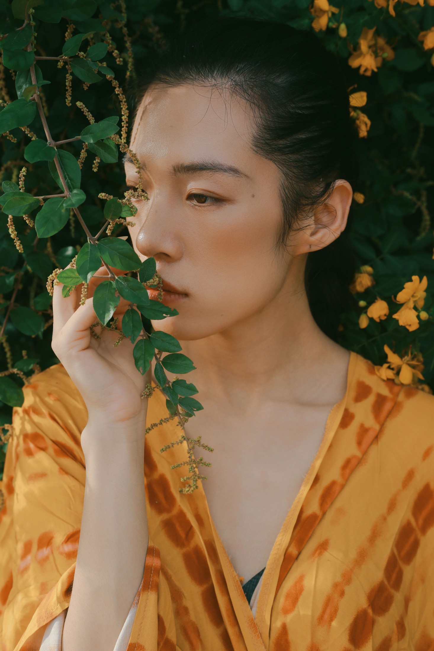 《满树黄花》[21P] 插图5