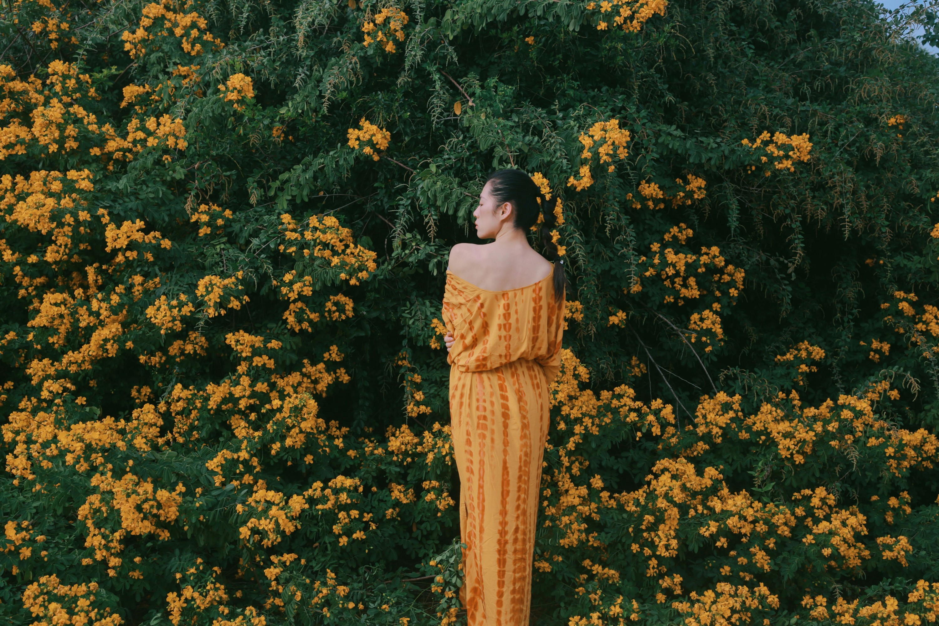 《满树黄花》[21P] 插图3