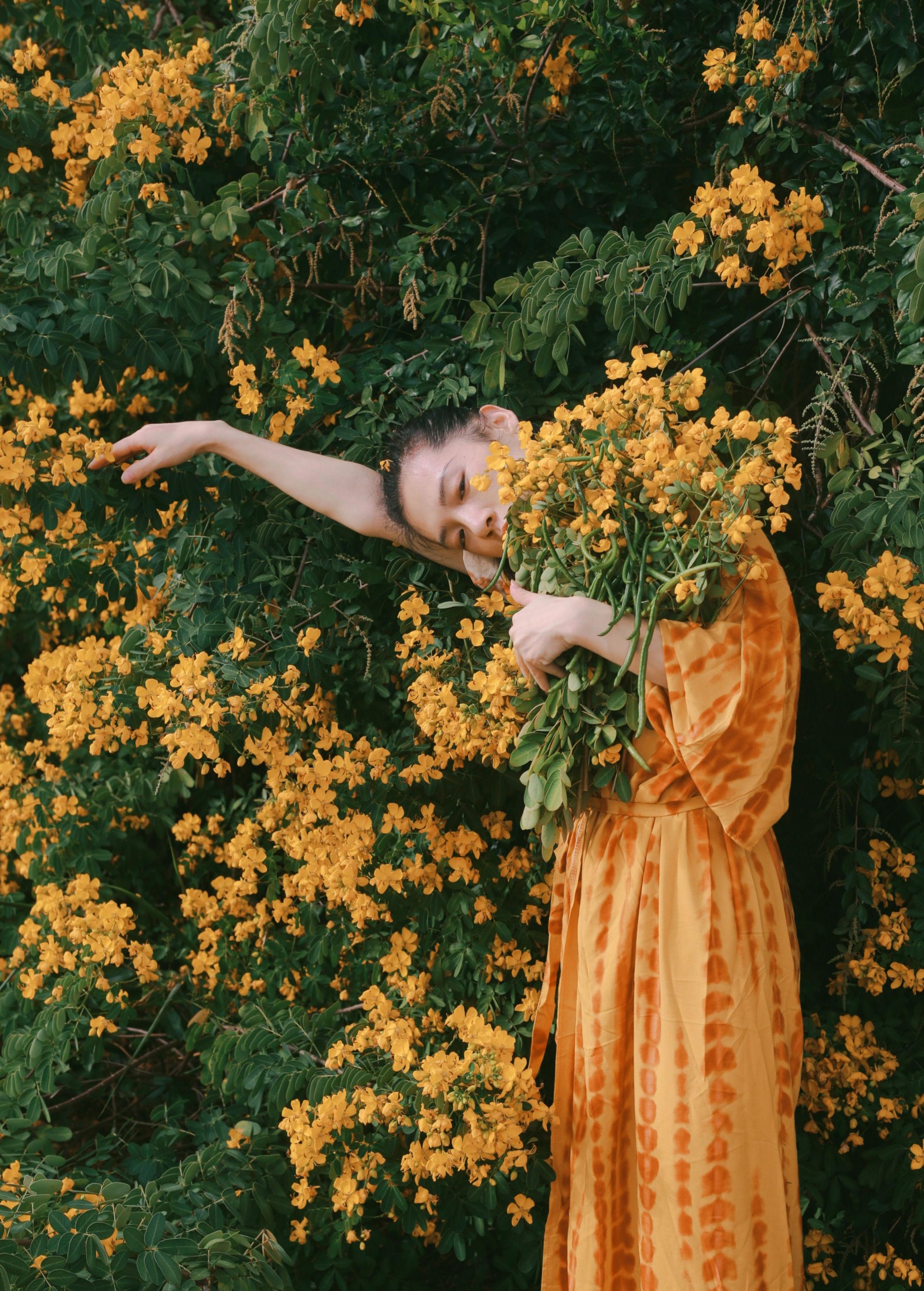 《满树黄花》[21P] 插图2