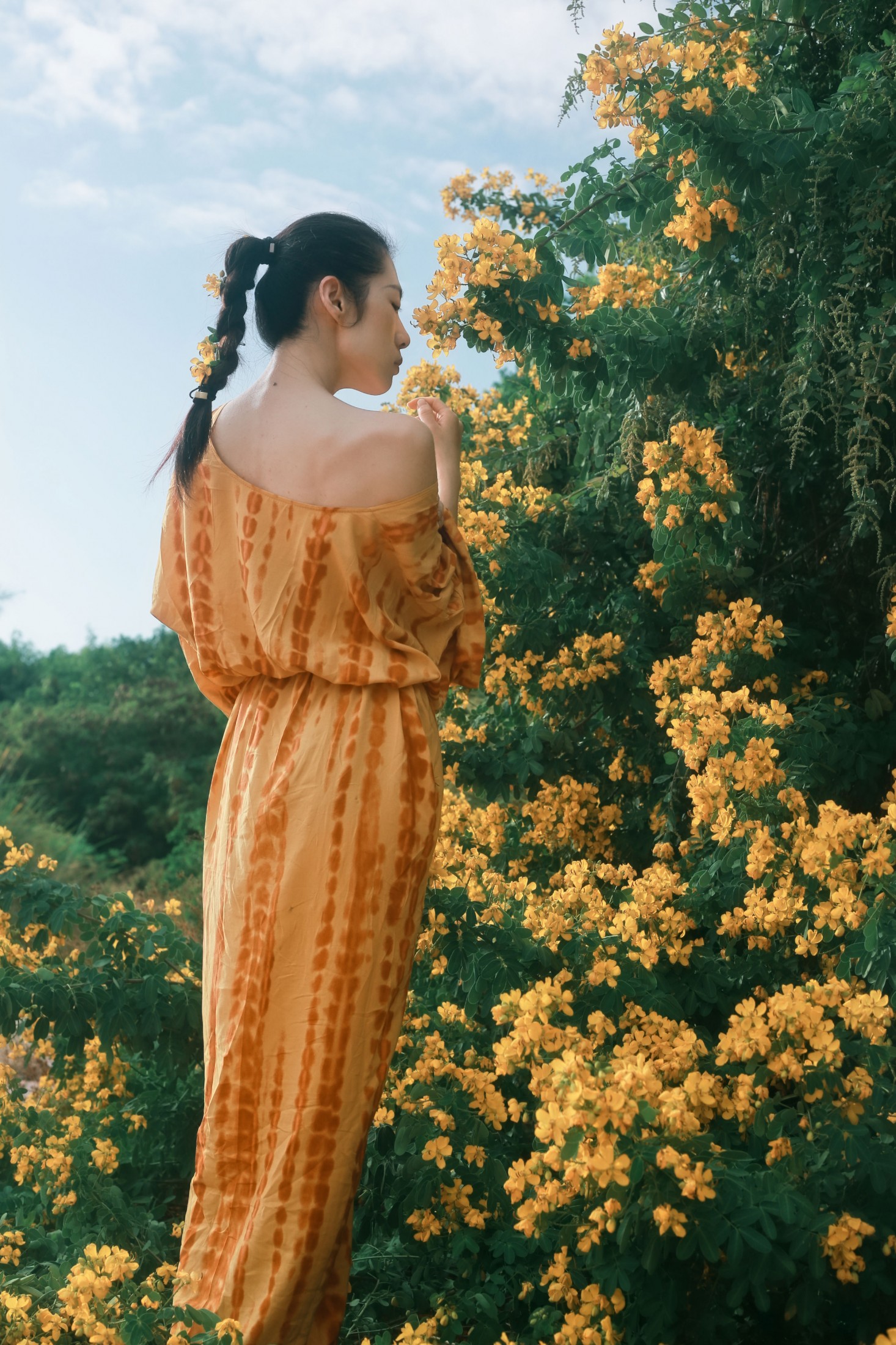 《满树黄花》[21P] 插图4