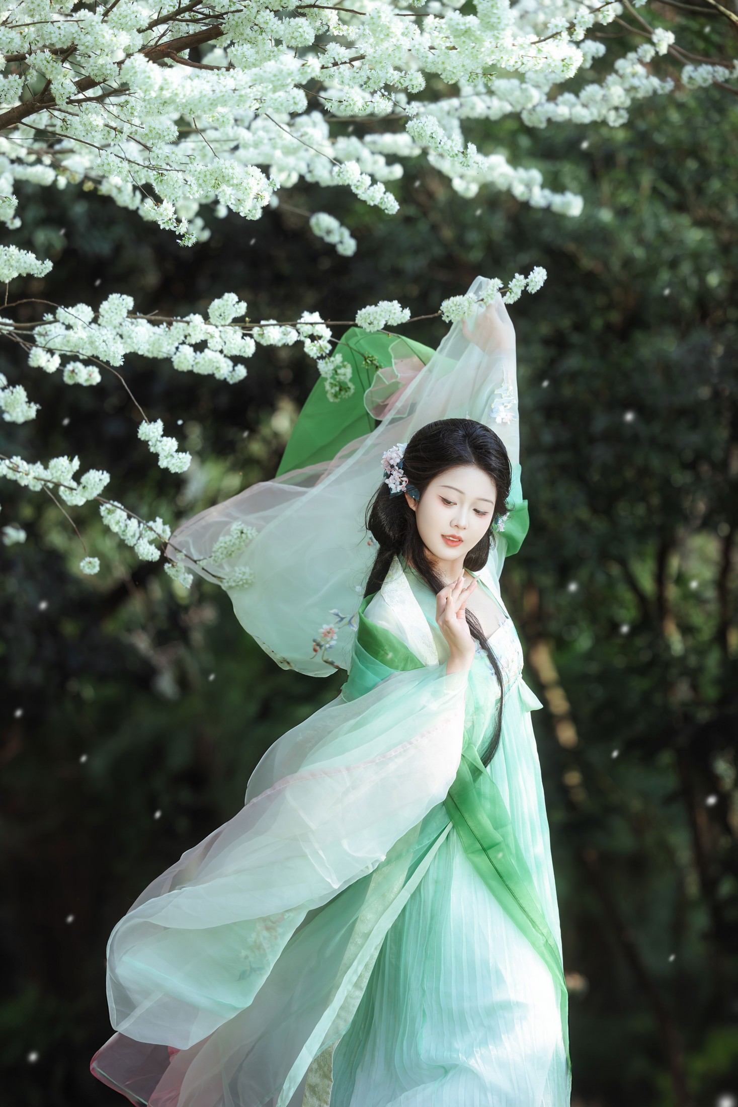 若韵 - 《春姑娘》[11P] 插图5