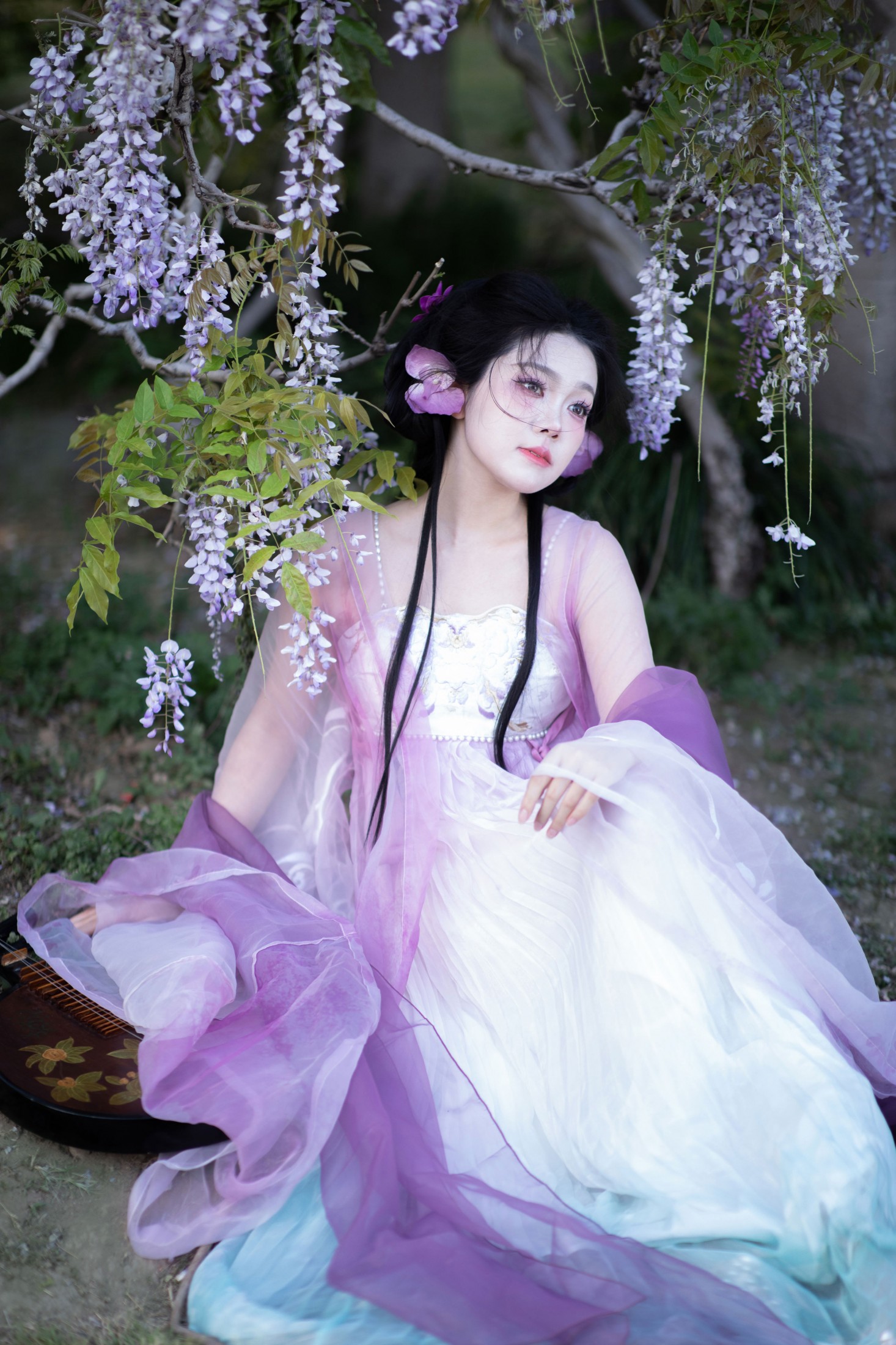 ID12448紫藤挂云木-妍画集