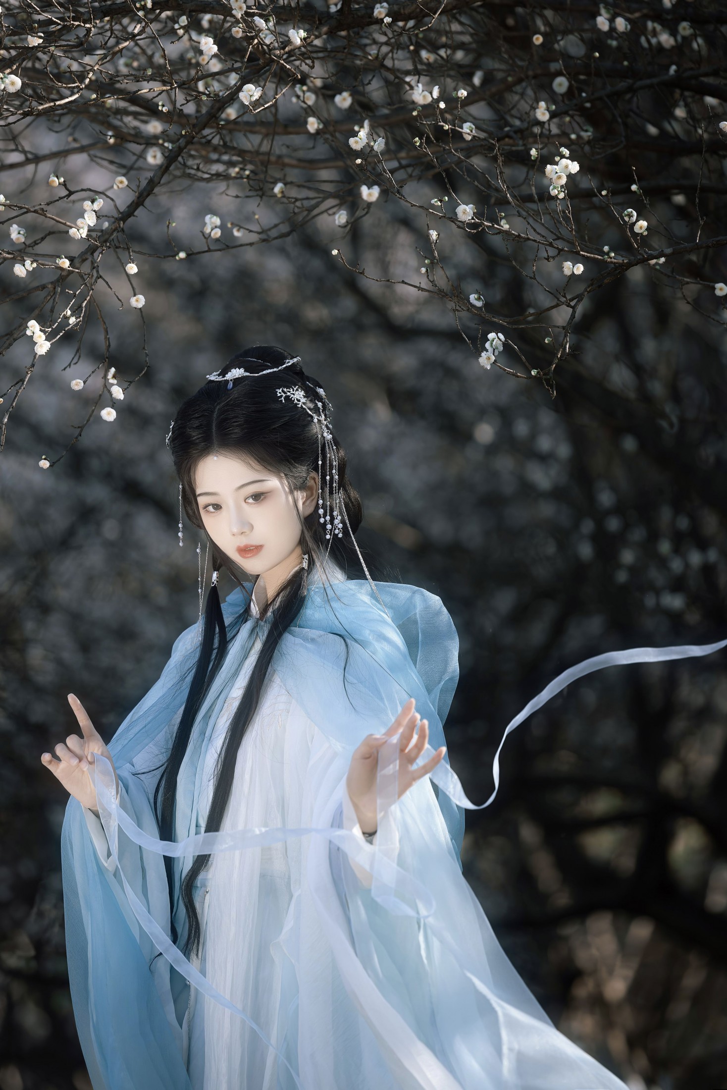 ID12424我欲乘风-妍画集