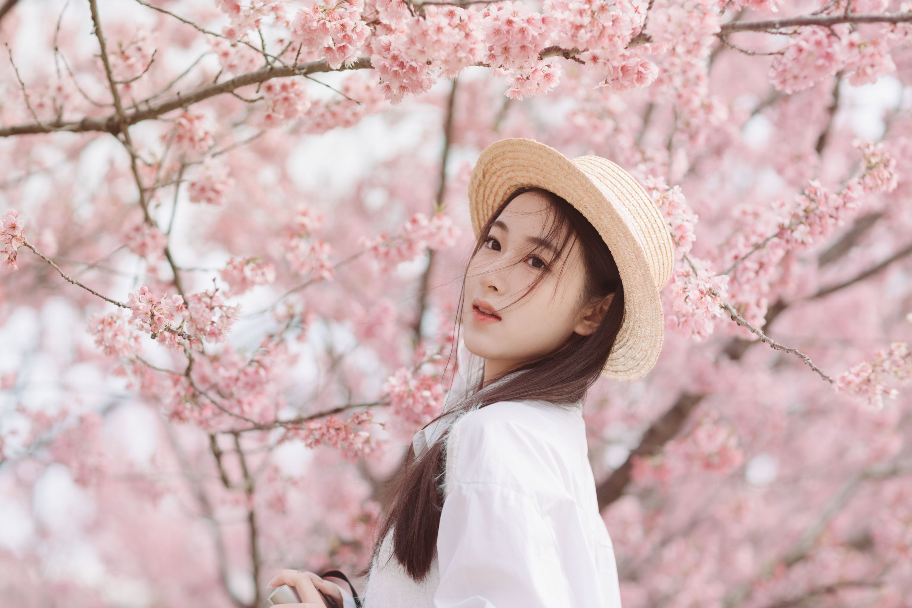 予晗 - 《樱花盛开》[37P] 插图3