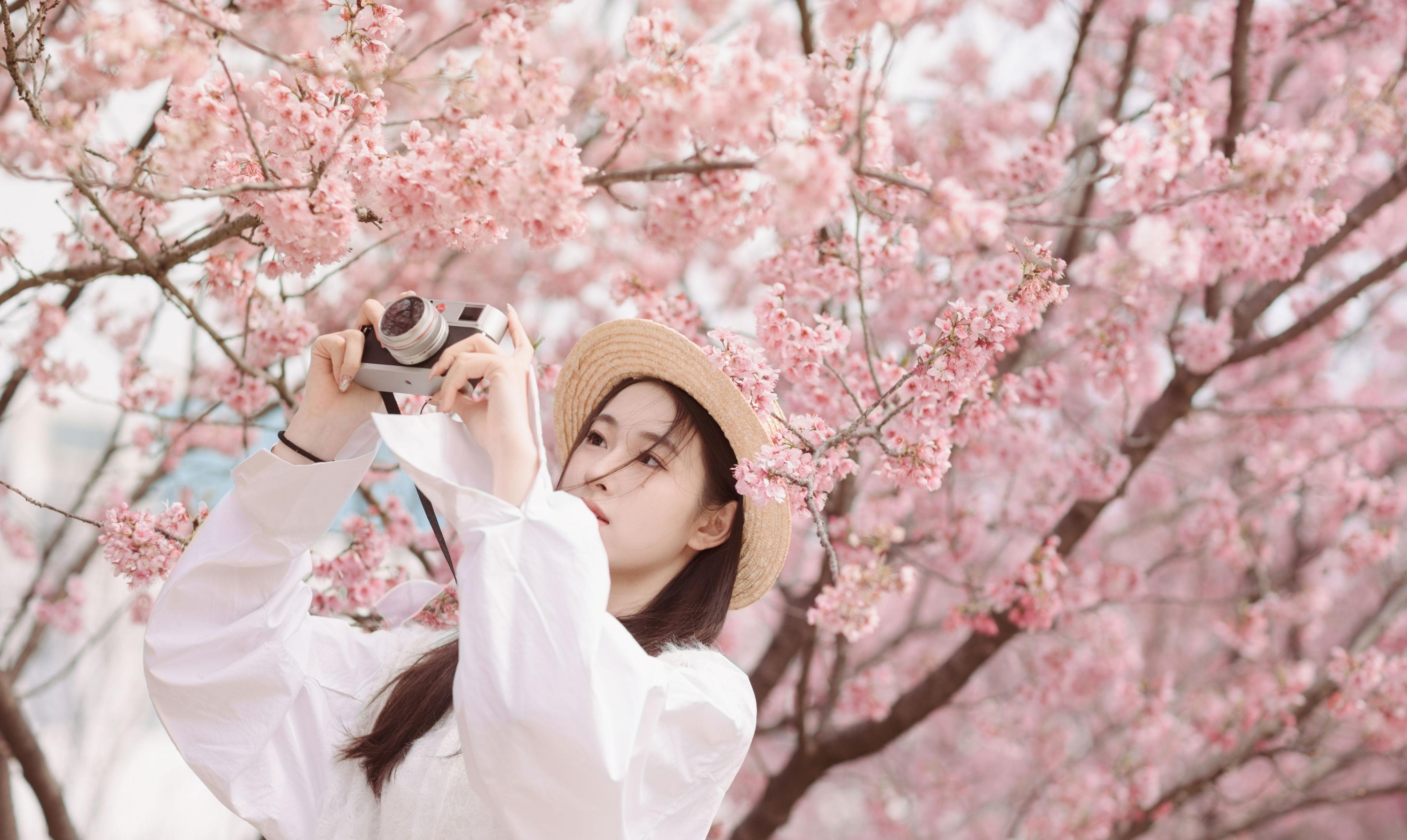 予晗 - 《樱花盛开》[37P] 插图2