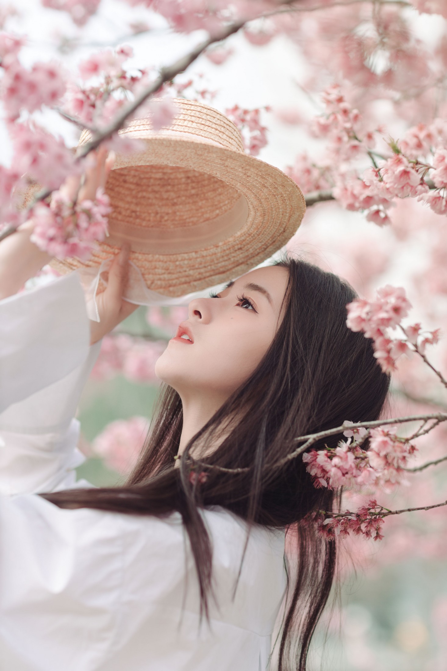 予晗 - 《樱花盛开》[37P] 插图5