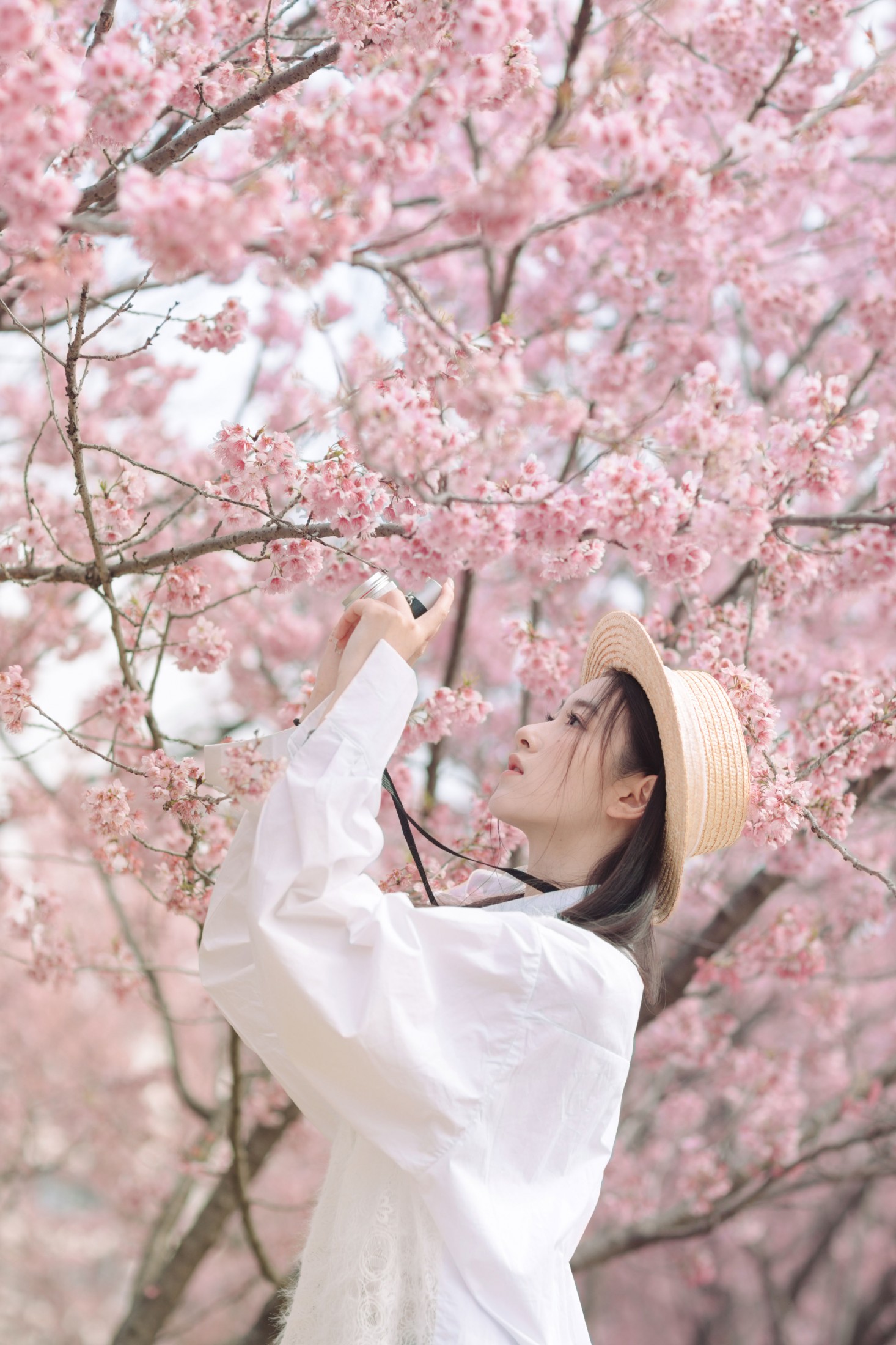 予晗 - 《樱花盛开》[37P] 插图4