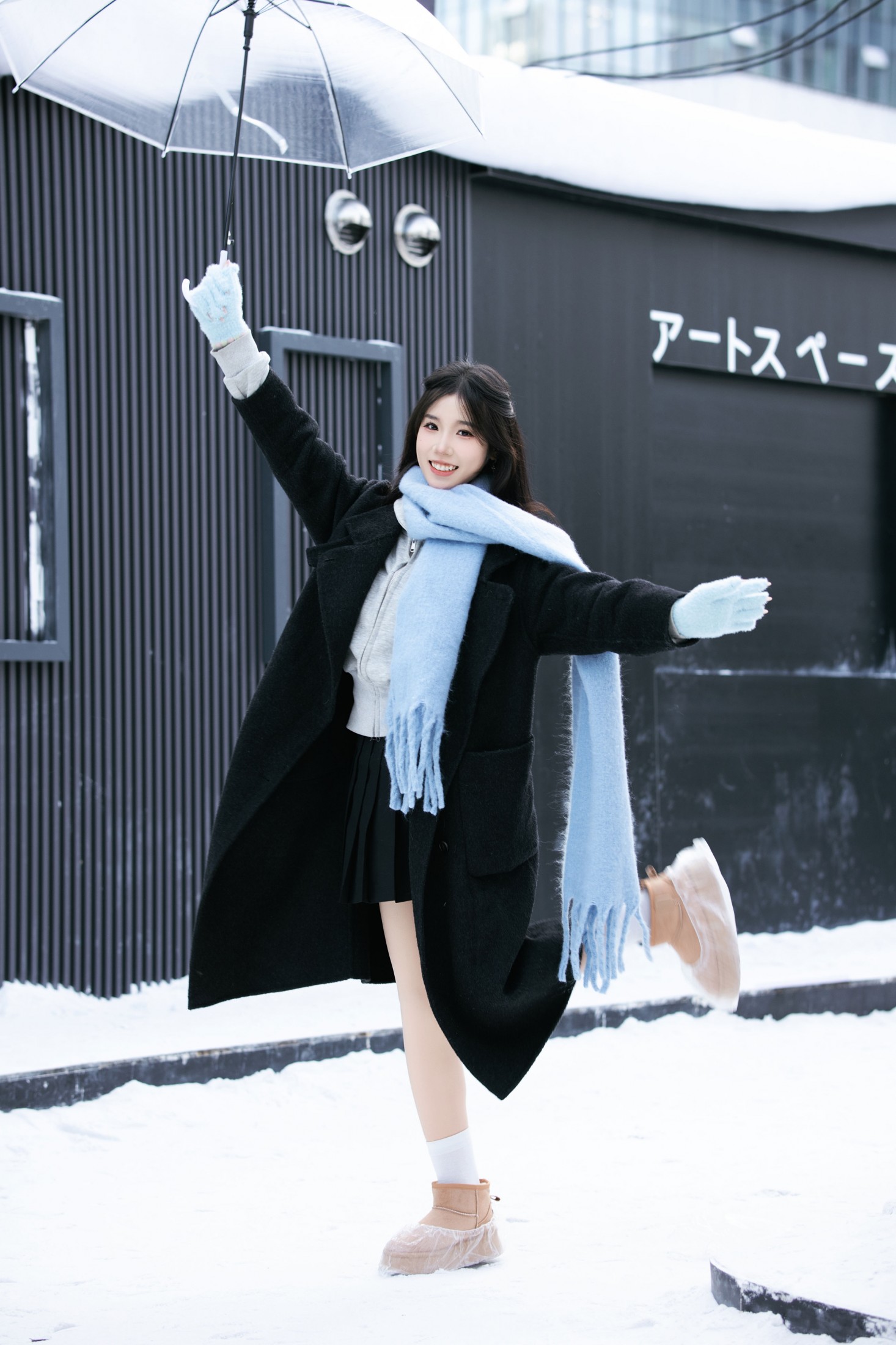 ID12451冬日雪景-妍画集