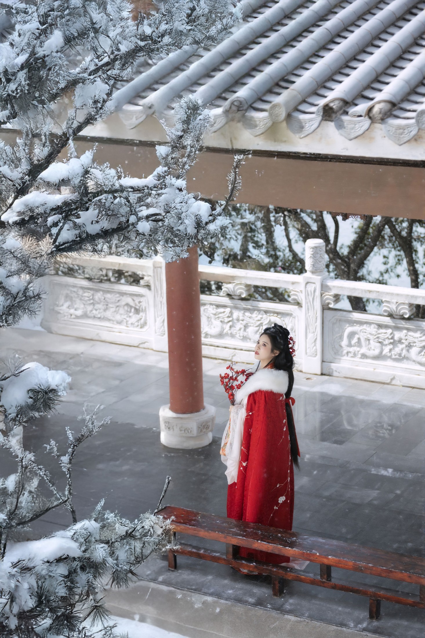 ID12507红梅白雪知 - 妍画集-妍画集