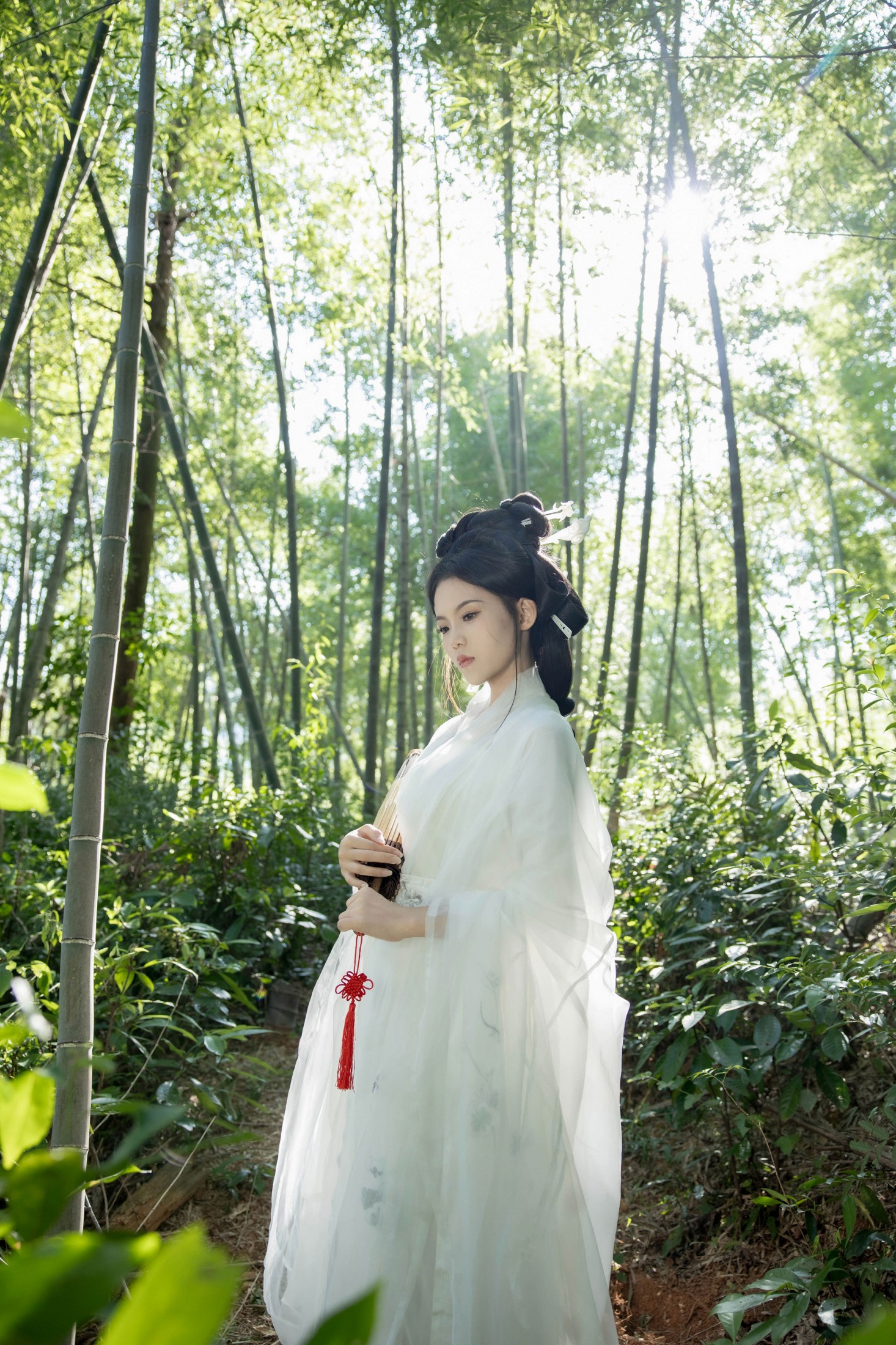 陈十二ing - 《竹青林深》[48P] 插图2