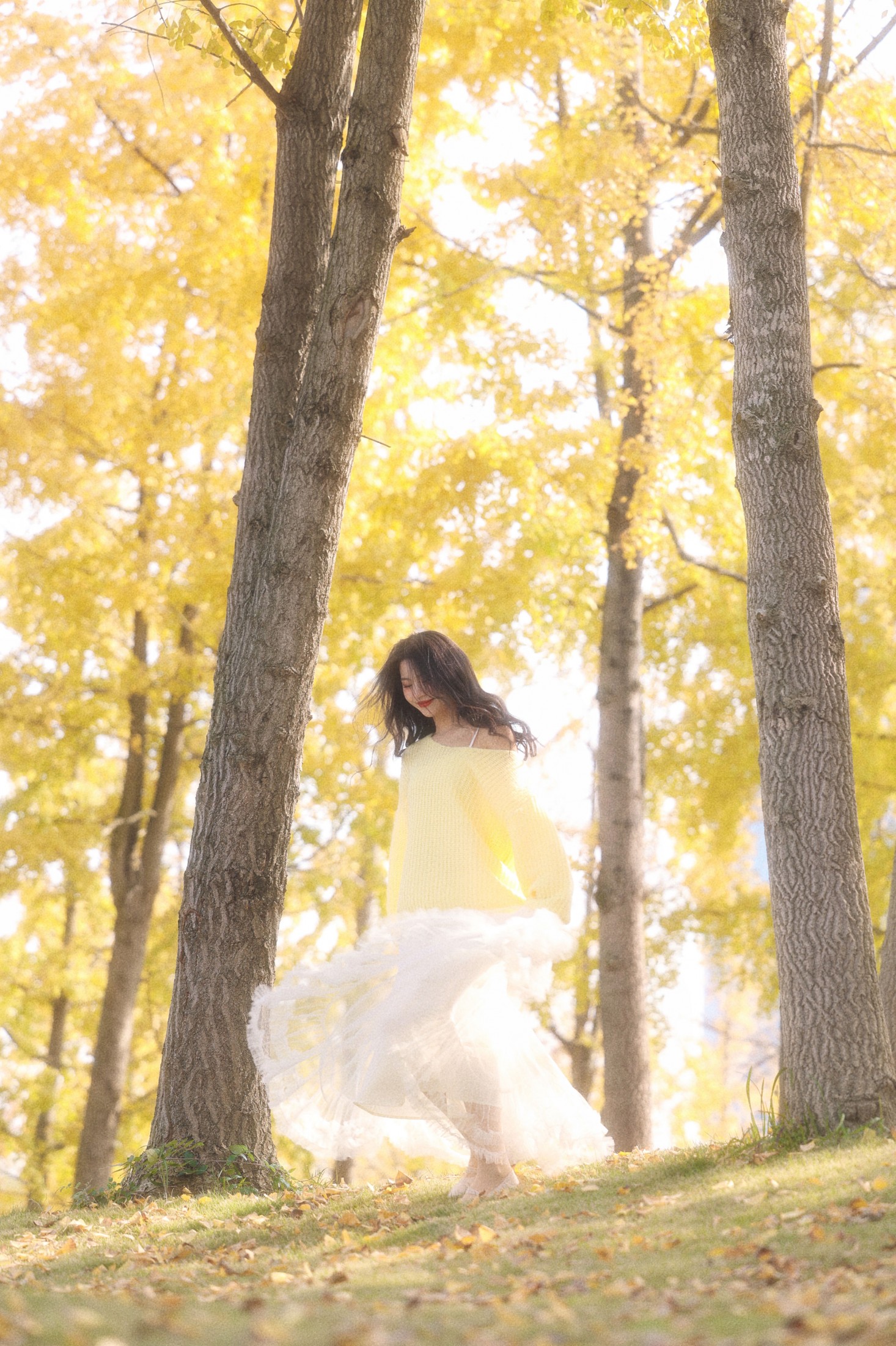 ID12518秋日温柔限定秋日浪漫一大半是银杏给的-妍画集