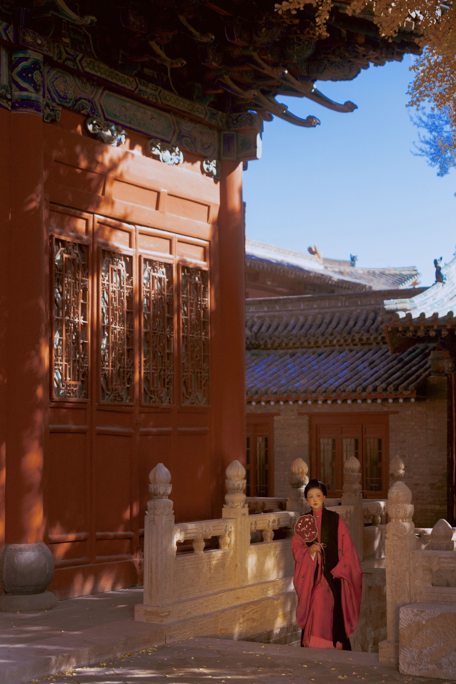 ID12483盛秋银杏-妍画集