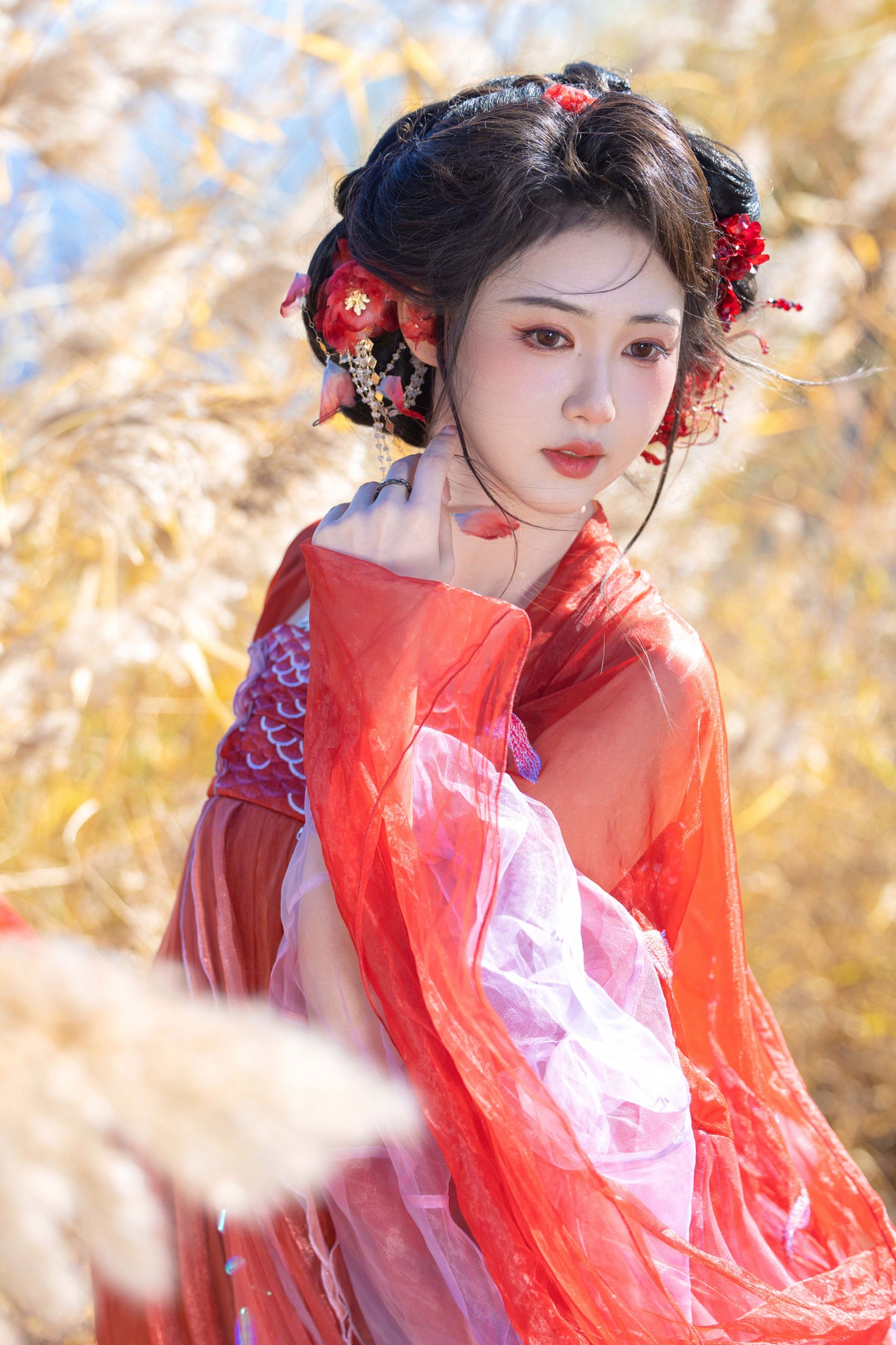 《锦鲤》[10P] 插图4