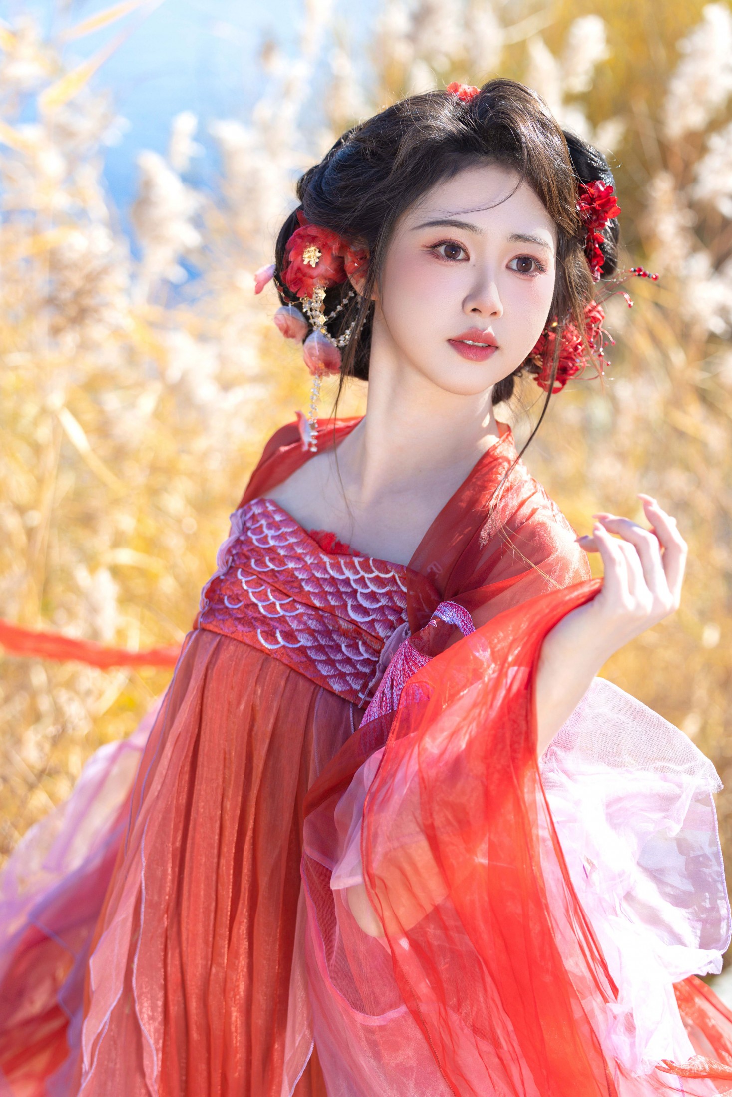 《锦鲤》[10P] 插图3