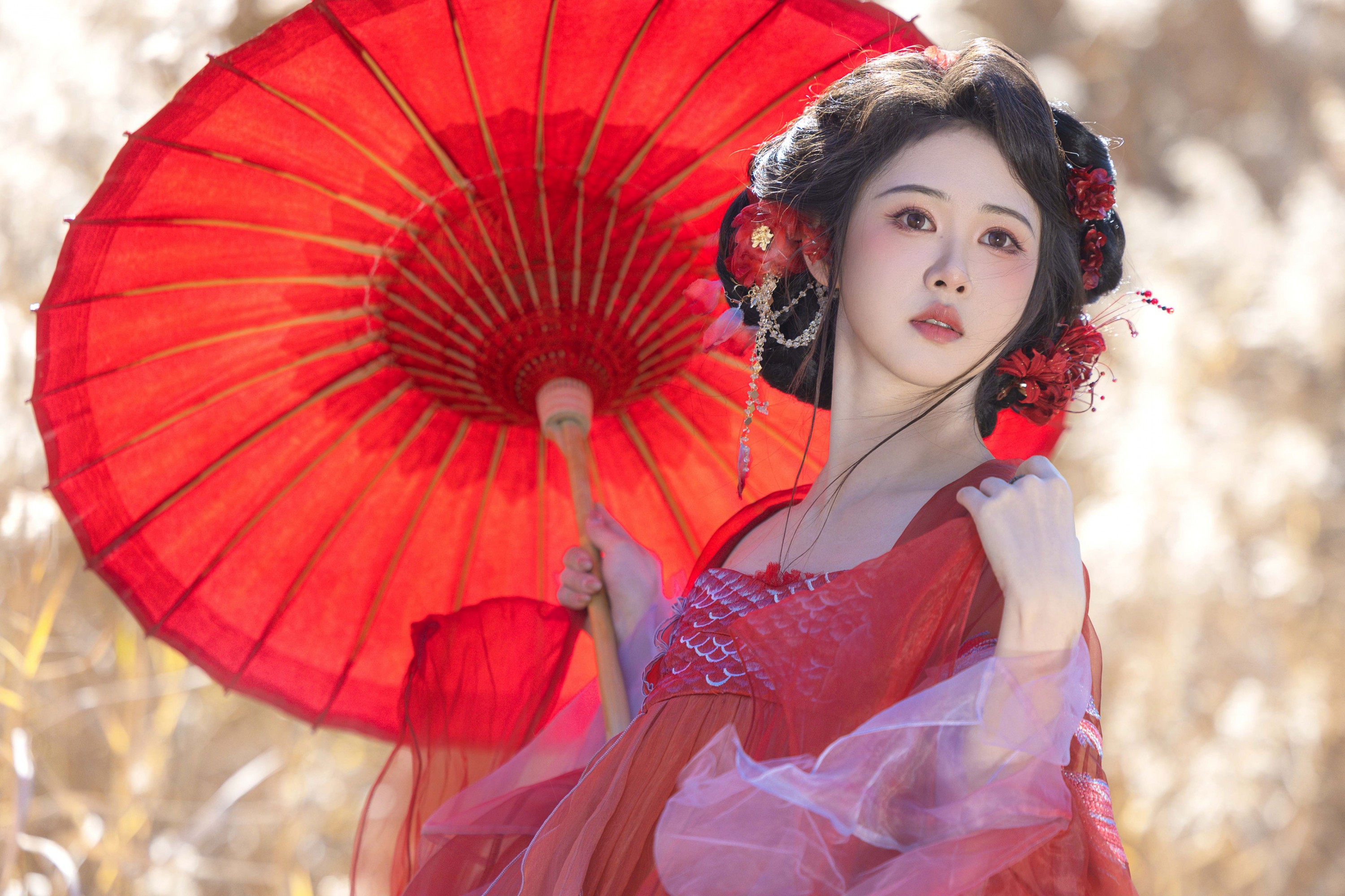 ID12526锦鲤-妍画集