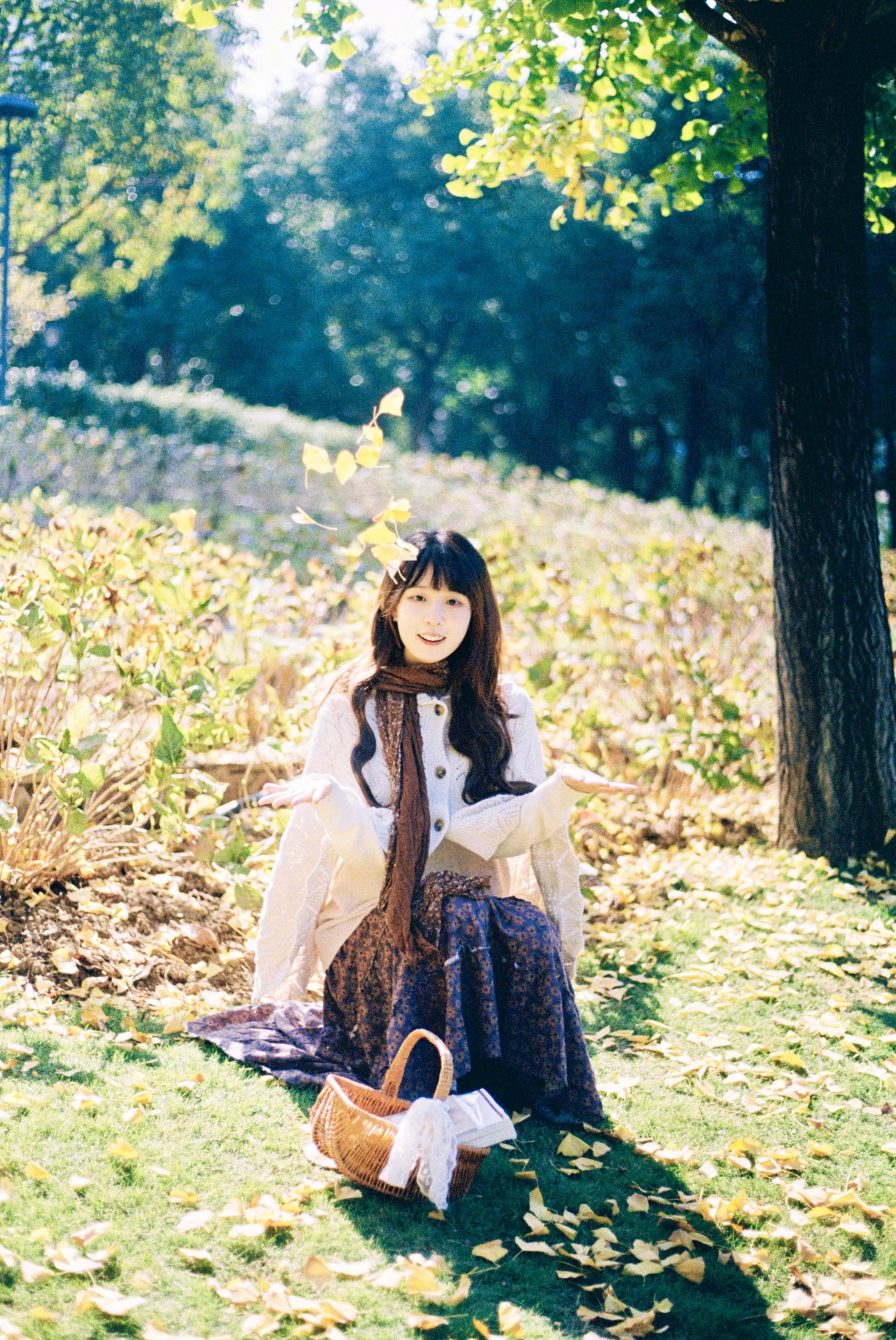 ID12525一场盛大的秋天-妍画集