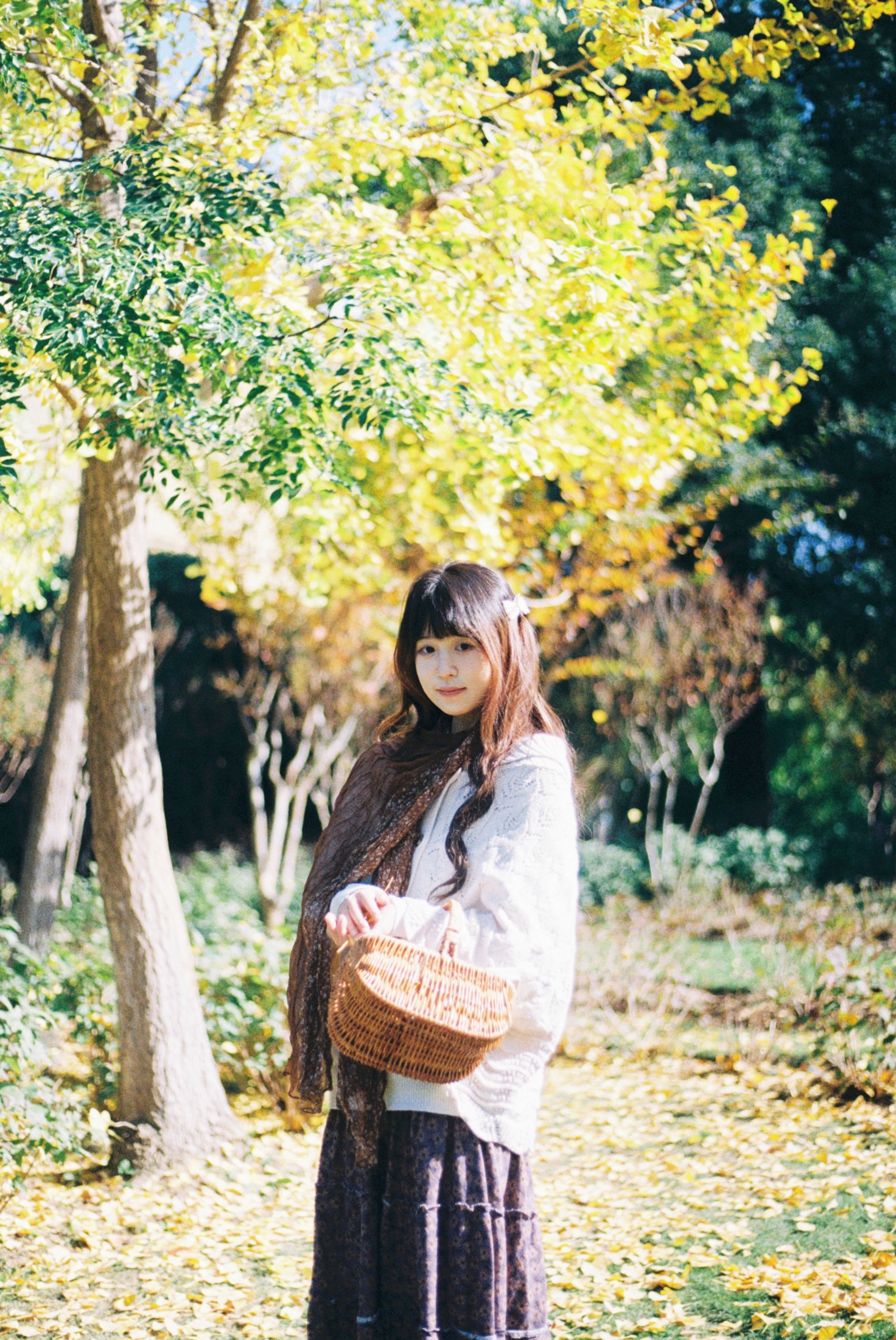 《一场盛大的秋天》[9P] 插图3