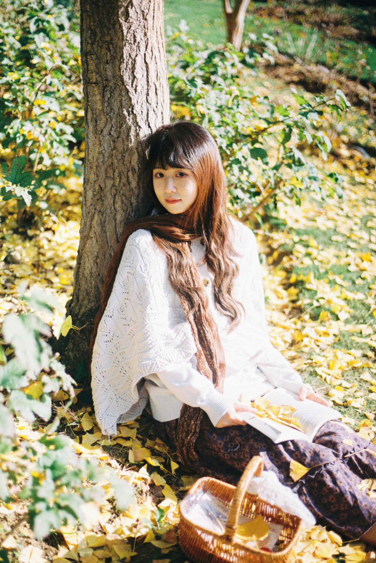 《一场盛大的秋天》[9P] 插图5