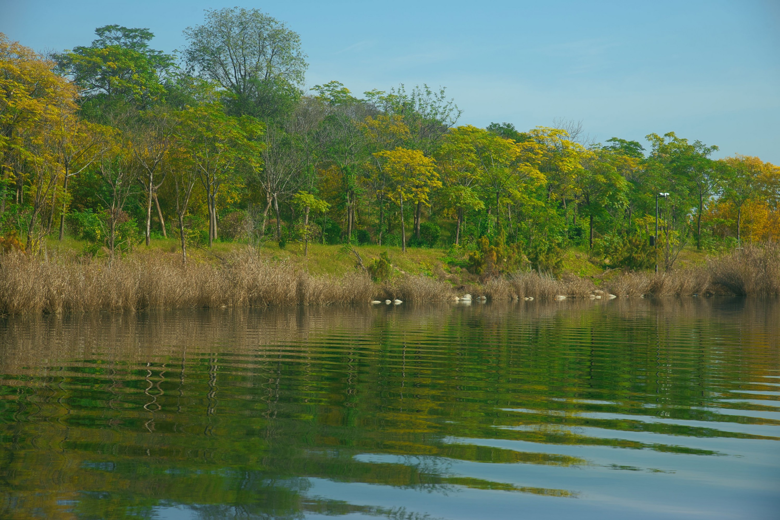 《【蒲城】在蒲城游玩的时光》[10P] 插图5