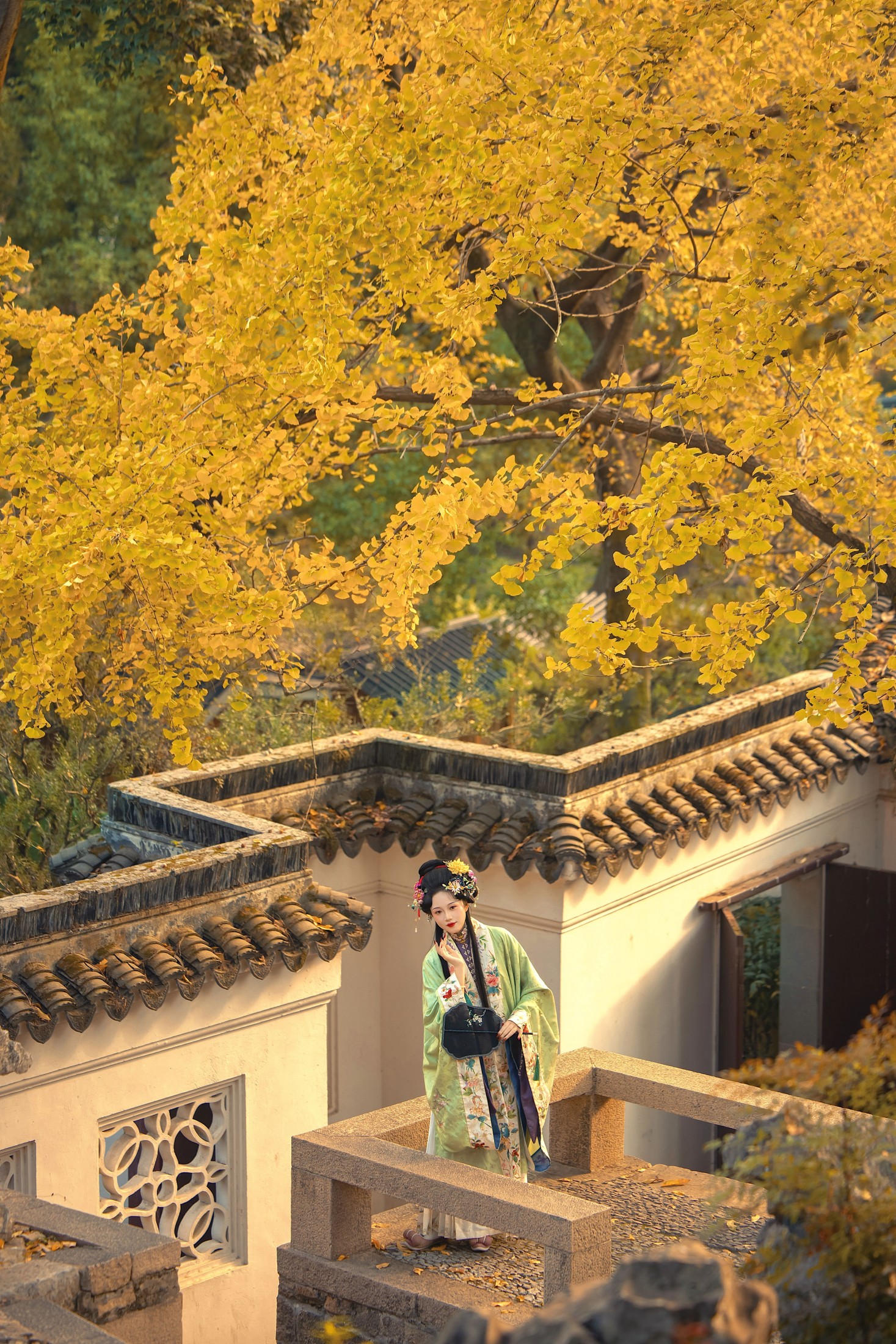 ID12562万物已惊秋-妍画集