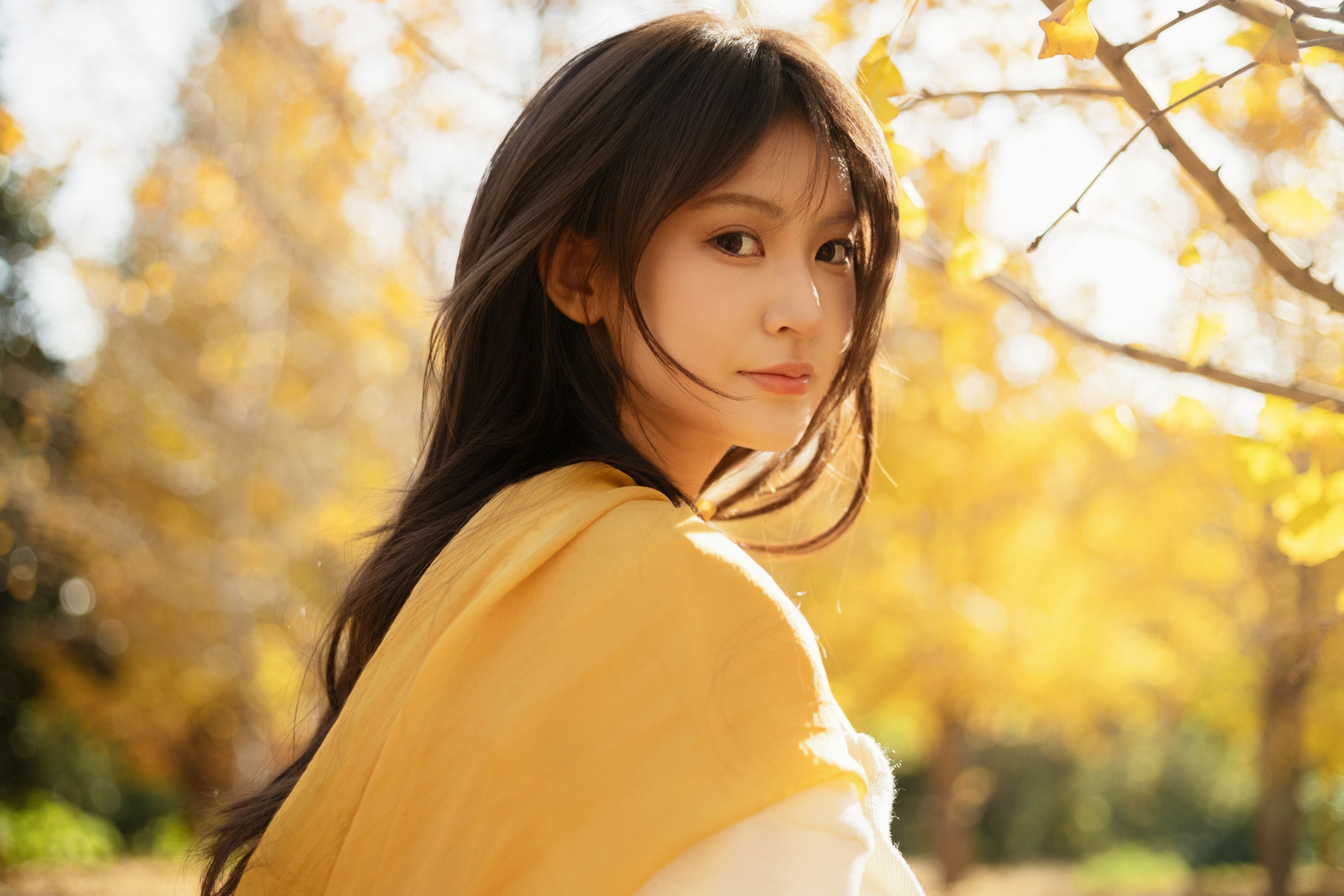 景猪 - 《金秋银杏》[35P] 插图4