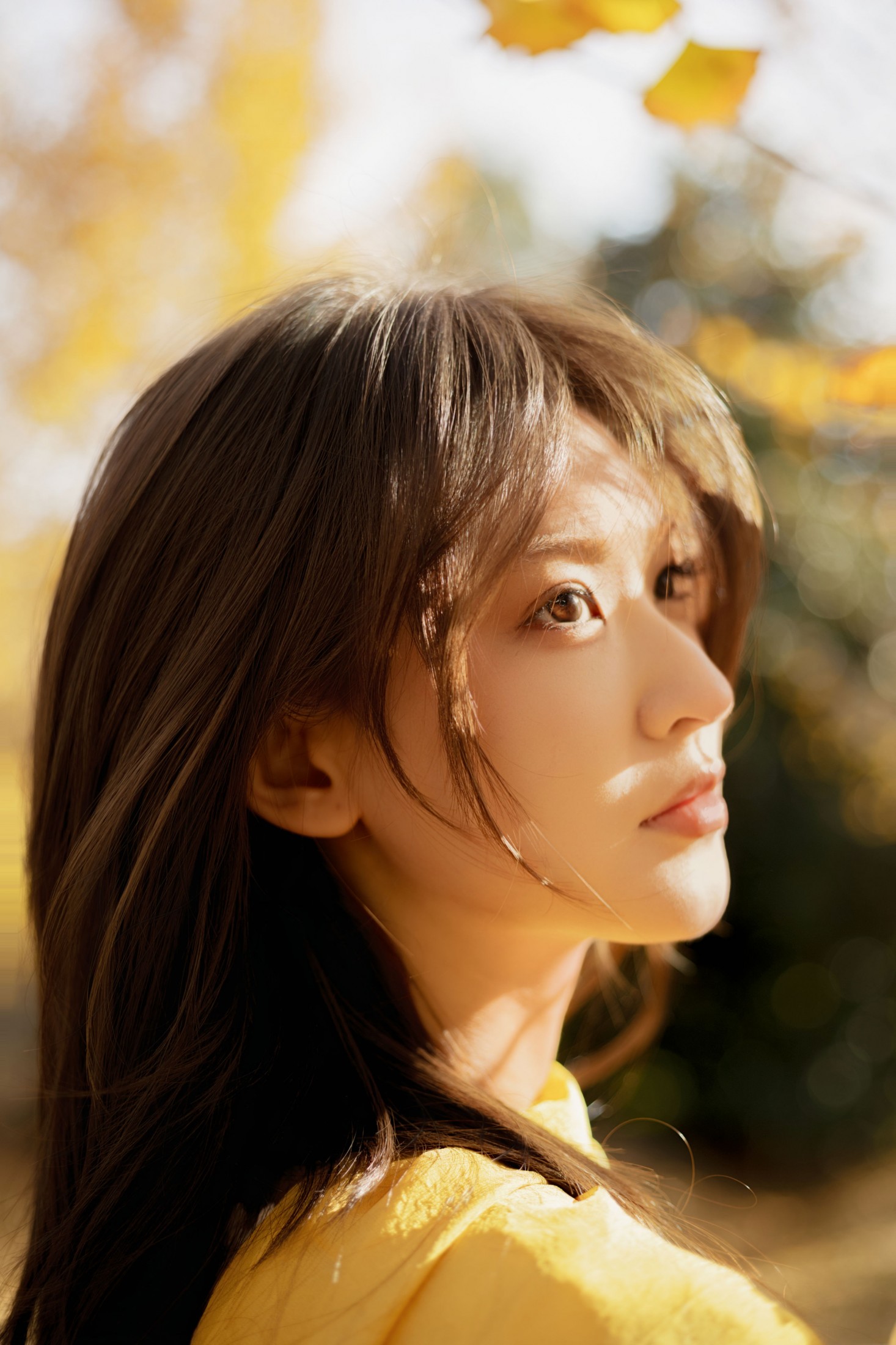 景猪 - 《金秋银杏》[35P] 插图2