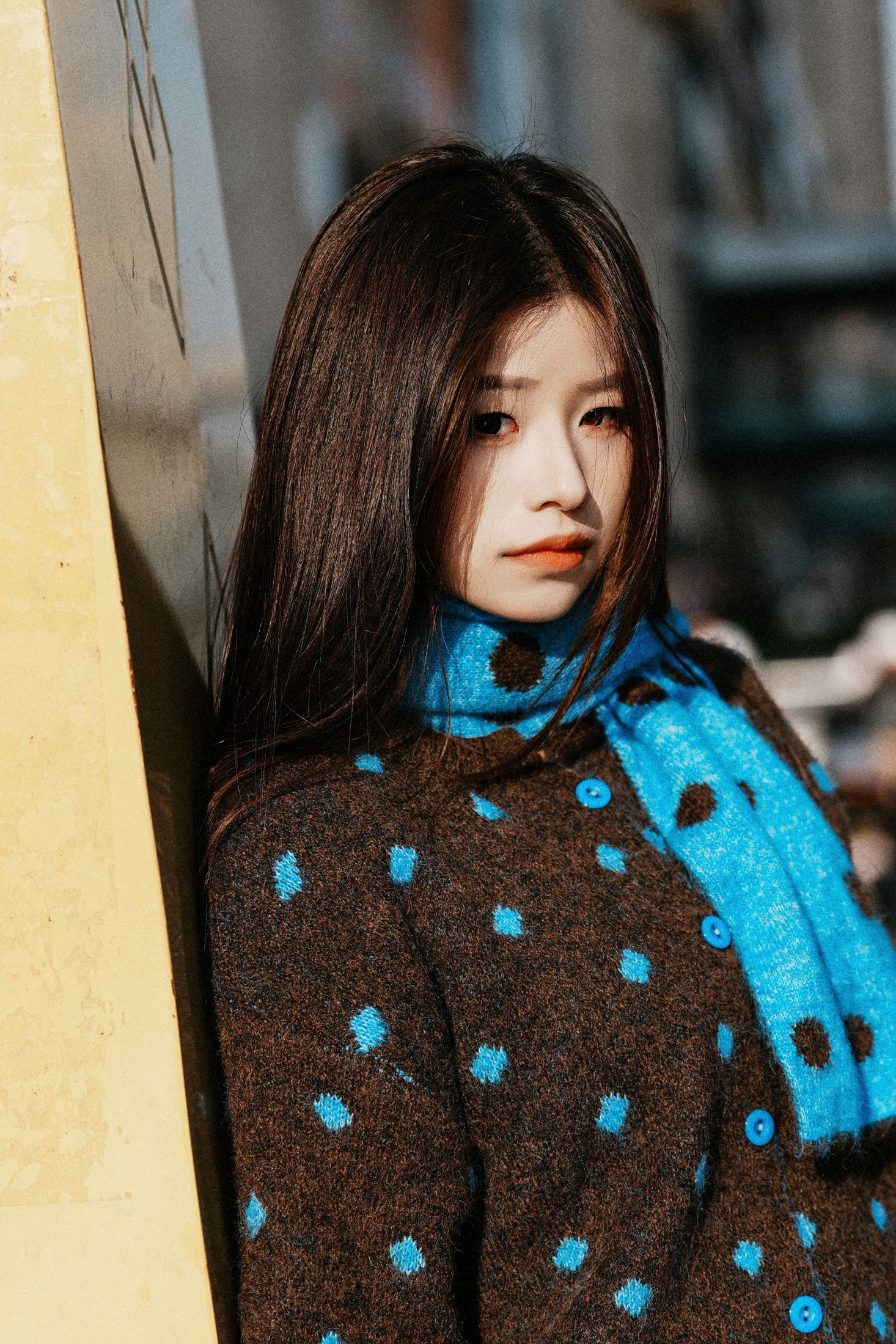 ID12574冬日阳光-妍画集