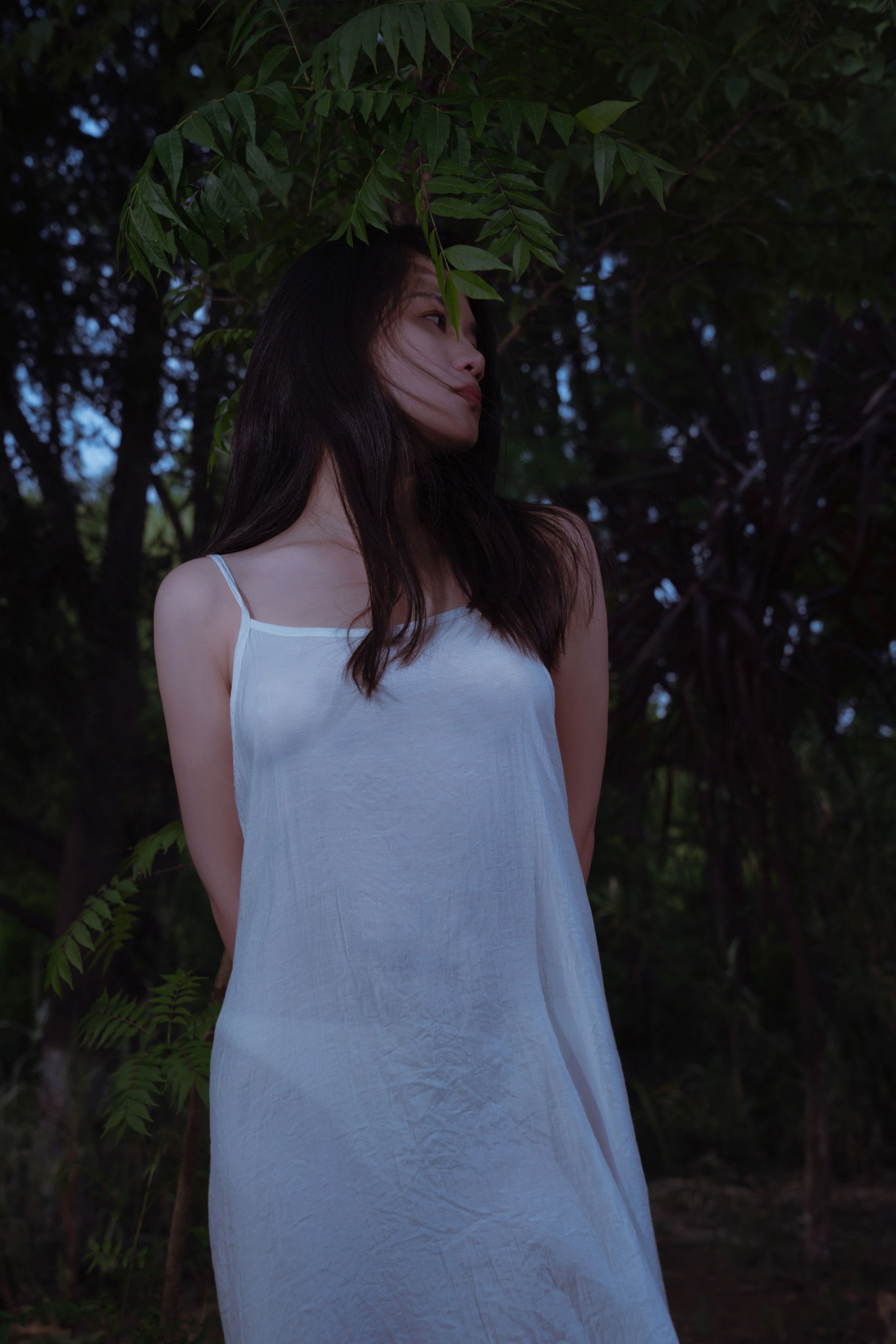 ID12556情绪-妍画集