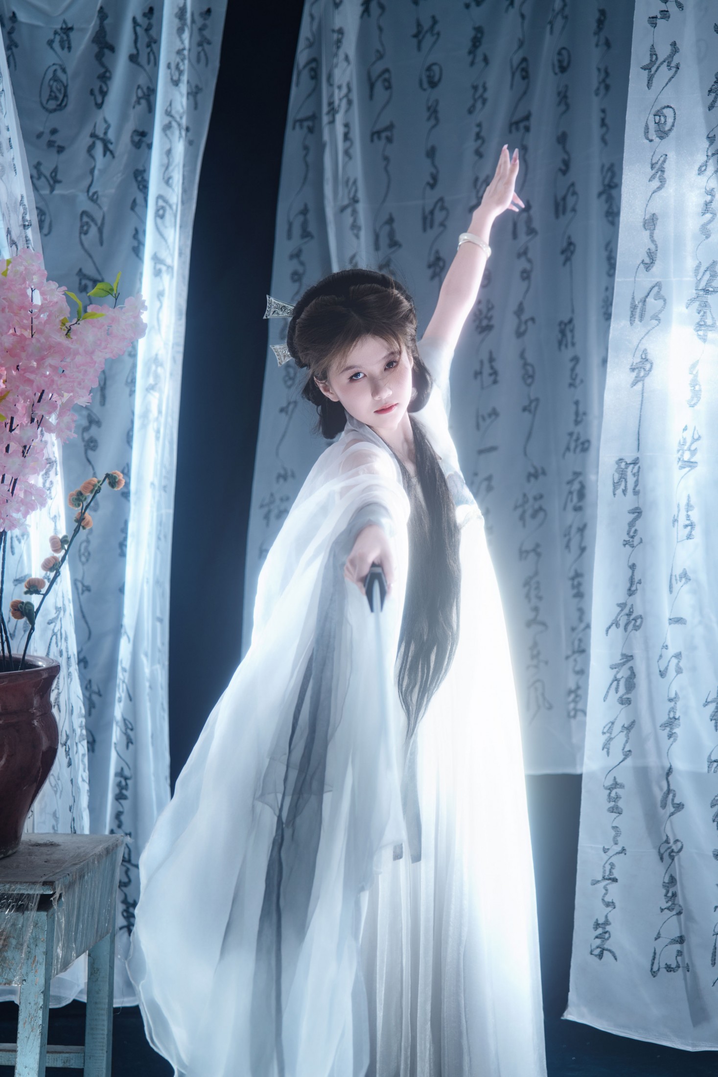 ID12592一剑藏狭义，一卷纳山河-妍画集