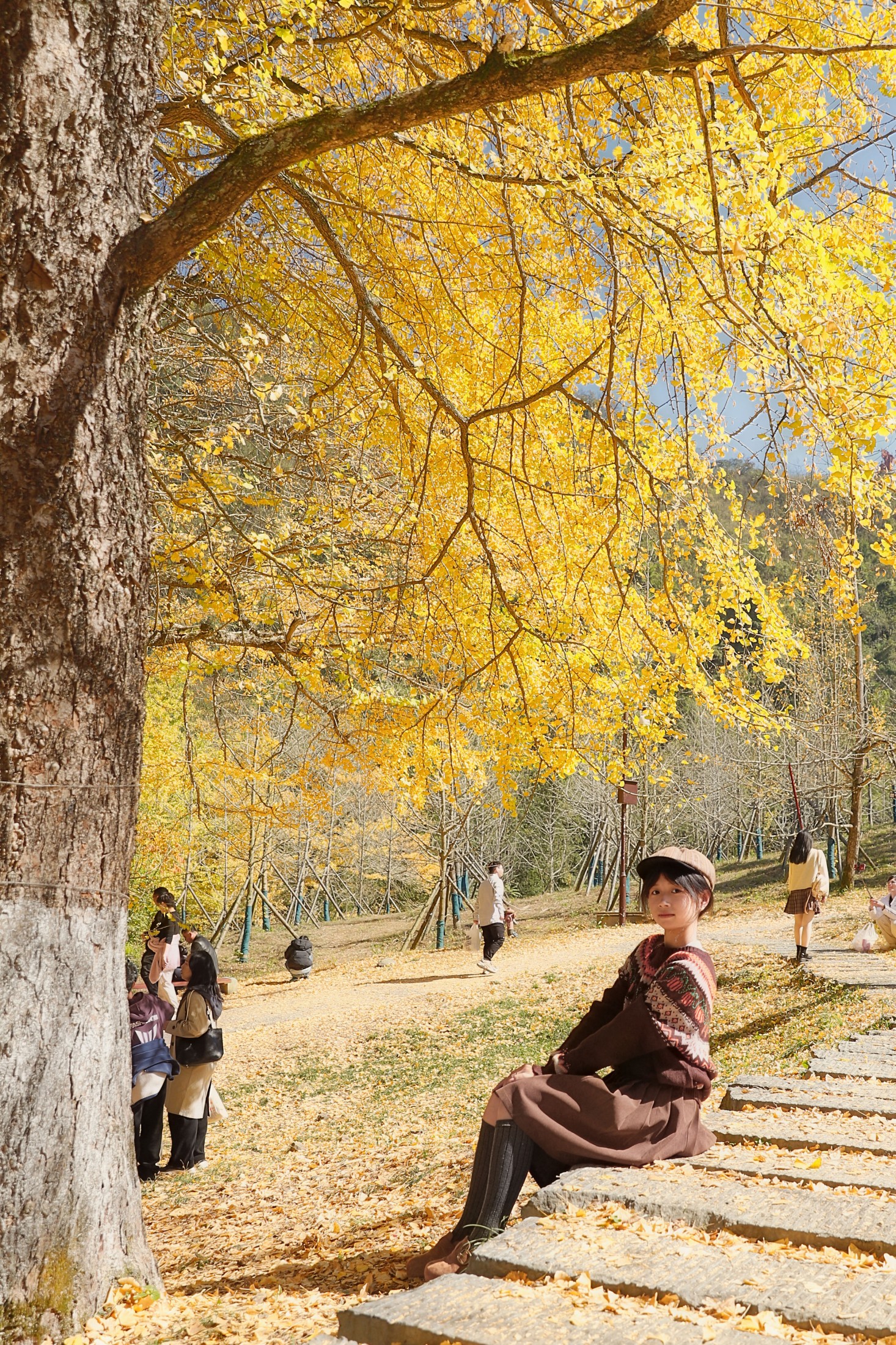 《秋天它温吞、平和、慢悠悠，和我的生命是同一种质地。》[29P] 插图2
