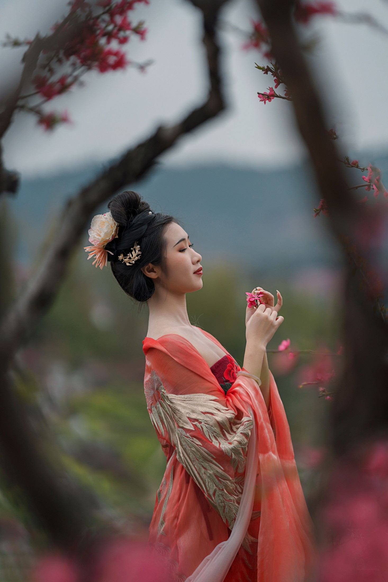 柒茶 - 《三月艳阳春》[29P] 插图<span class=