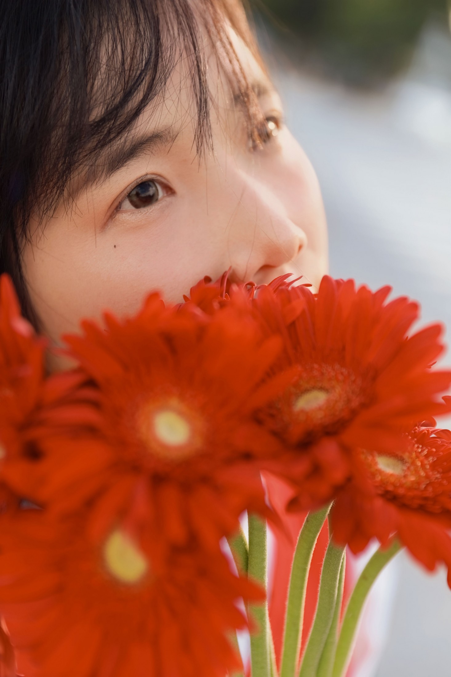 《非洲菊我热烈而平静》[15P] 插图3