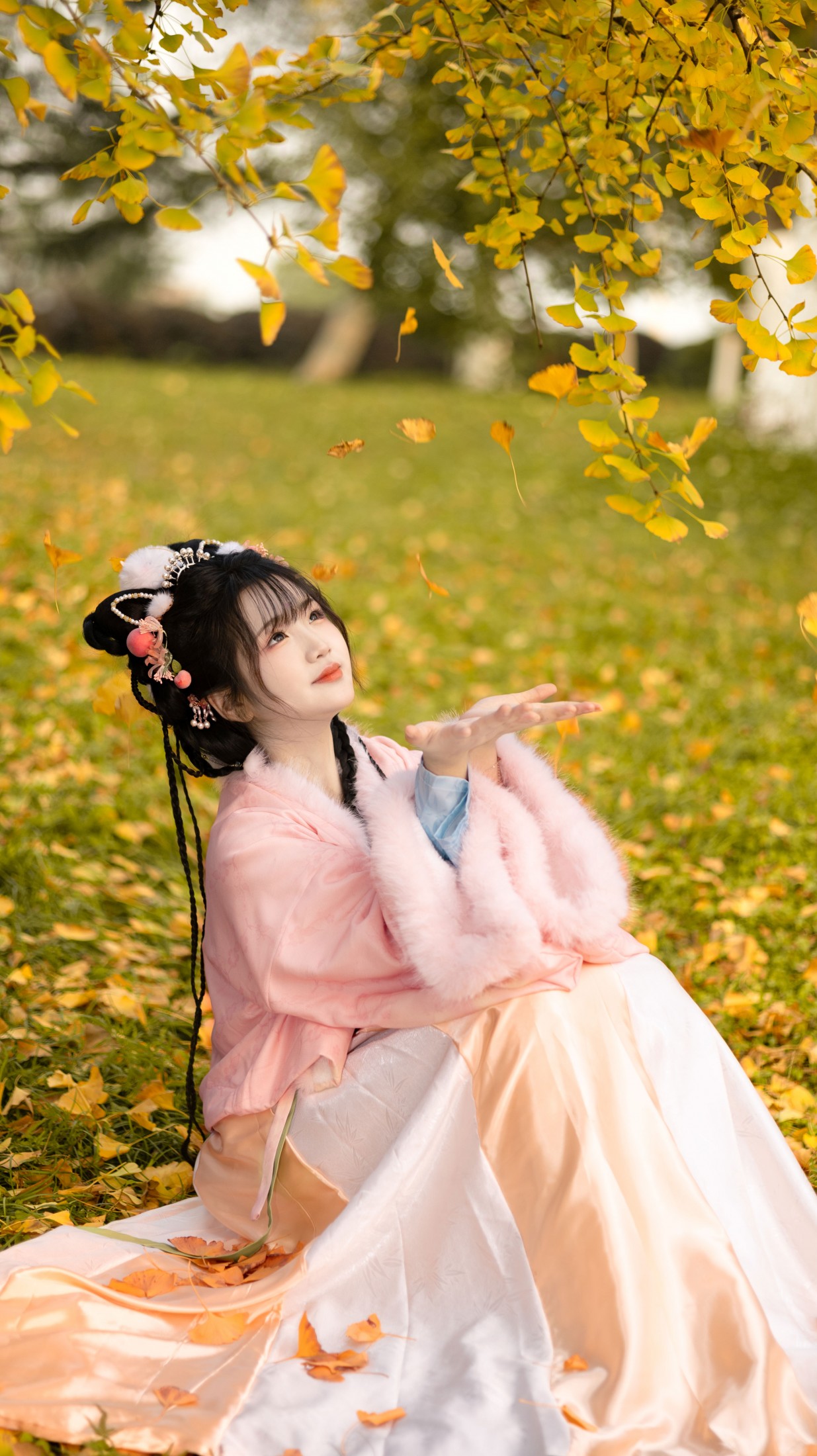 《秋天的黄是银杏叶的黄》[11P] 插图3