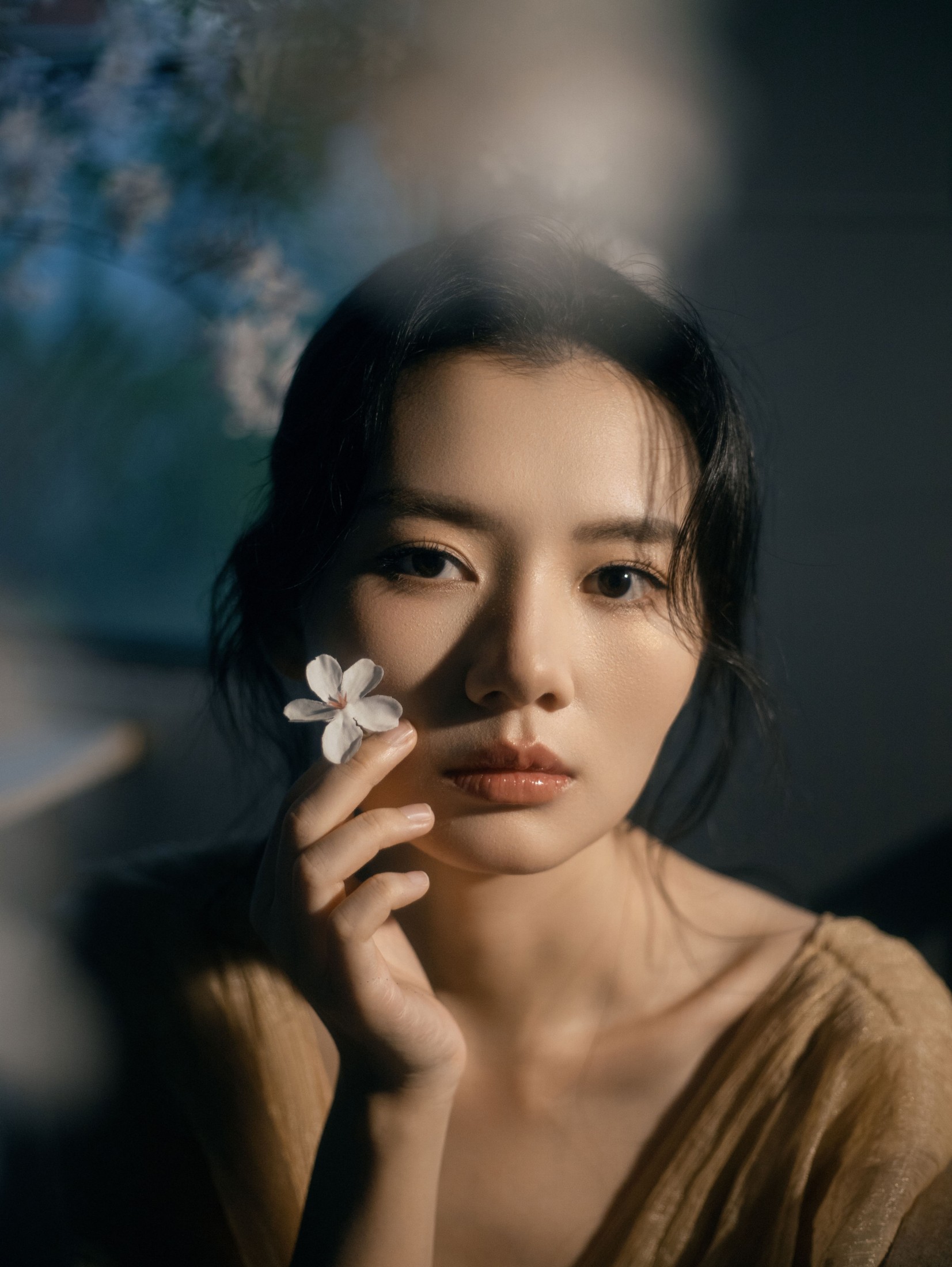 ID12658夜樱-妍画集