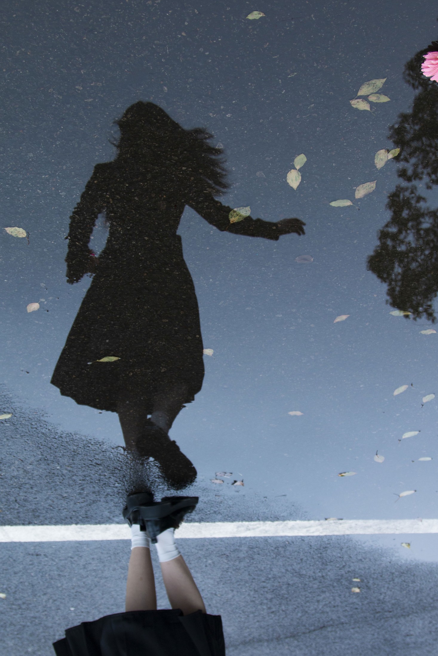 ID12729雨后-妍画集