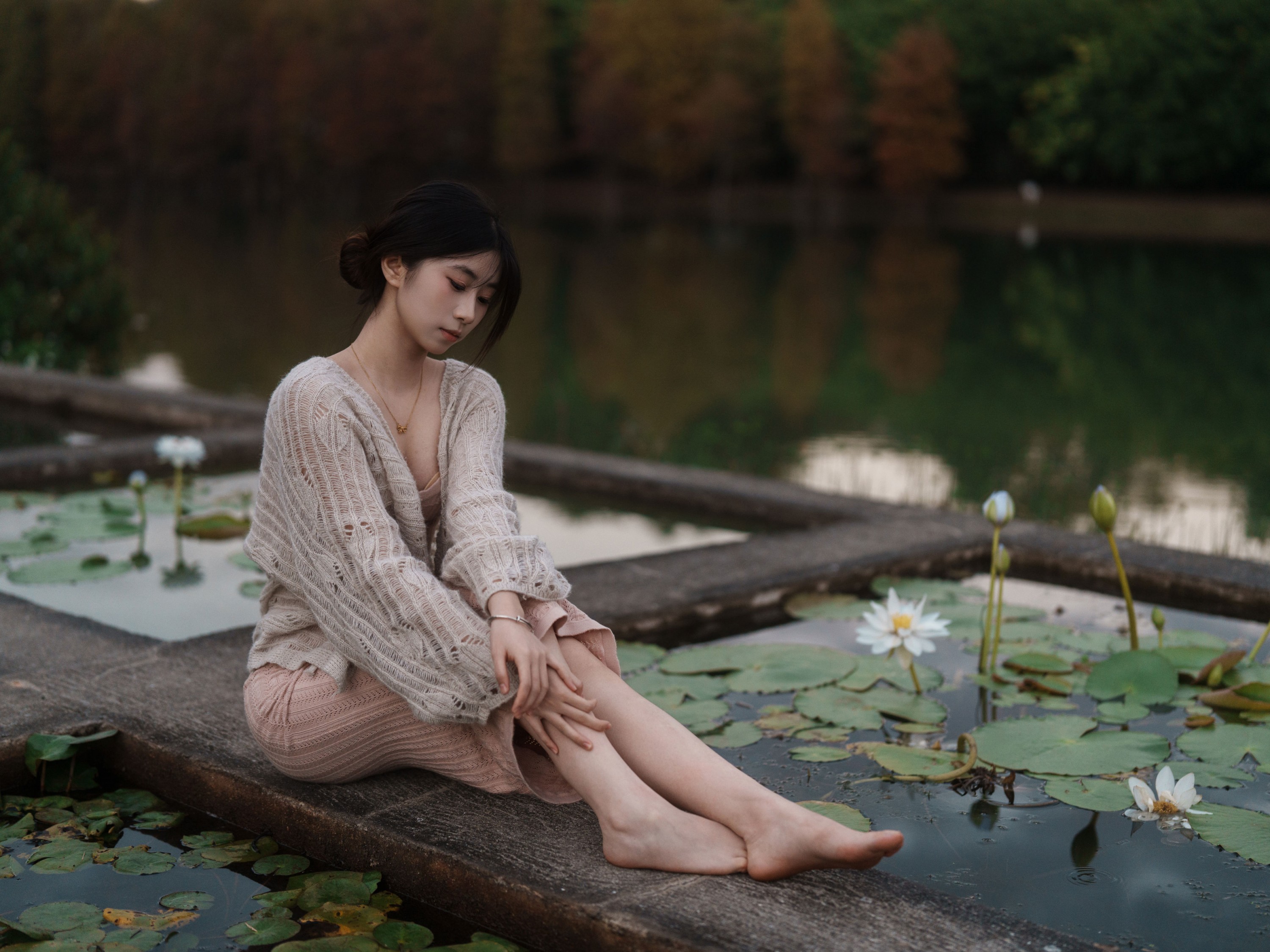 ID12733冬树已红-妍画集