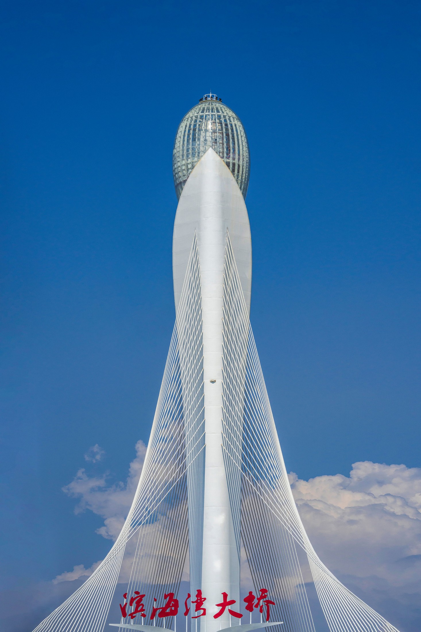 ID12735思路明灯 玉兰花开-妍画集