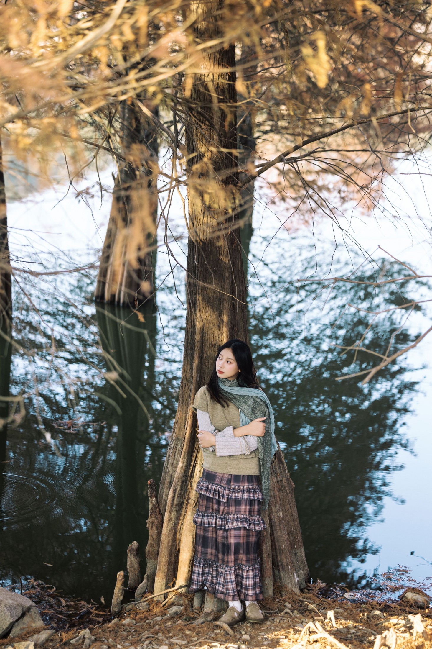 ID12765秋日红杉林-妍画集