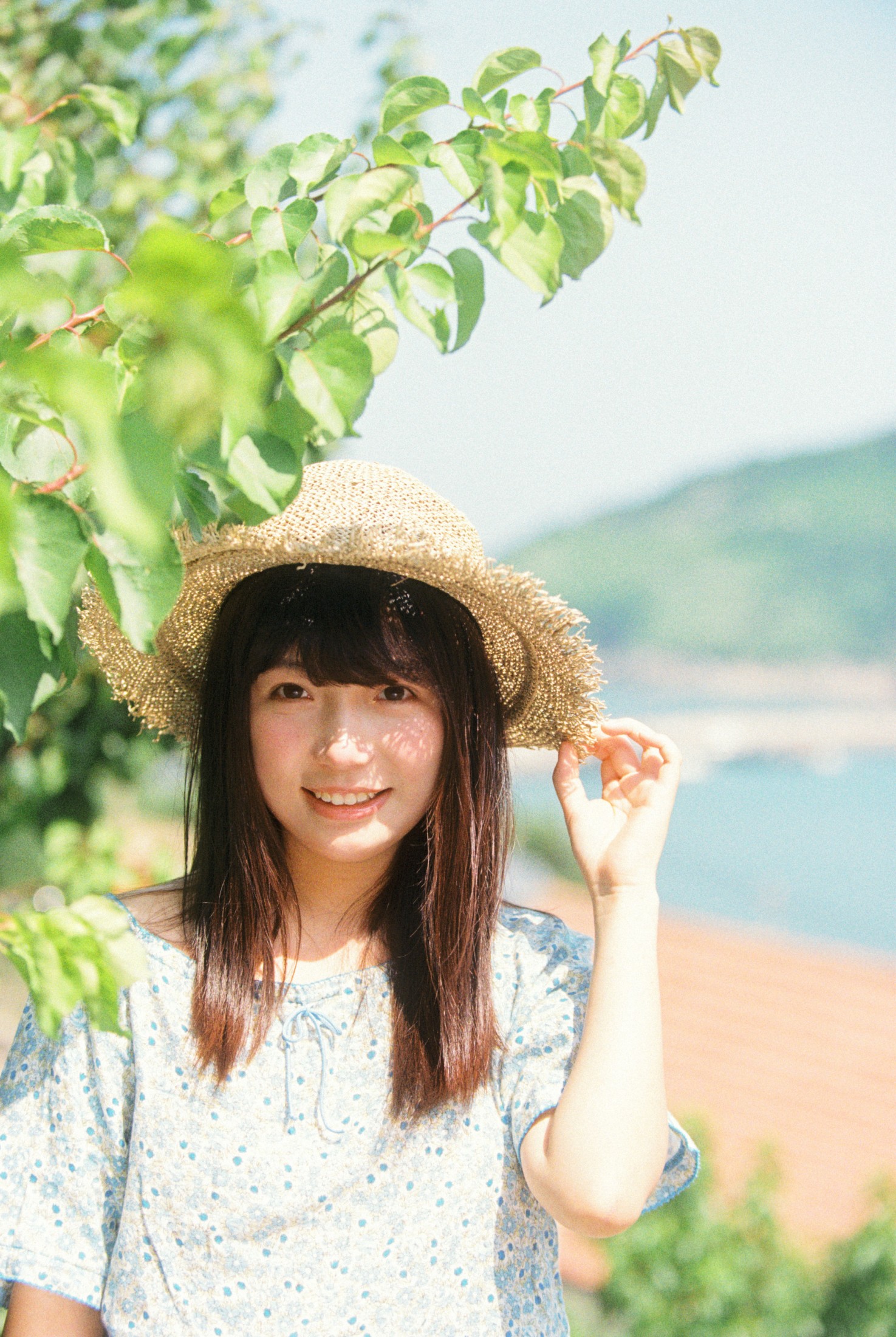 1028 - 《海岛日记》[14P] 插图5