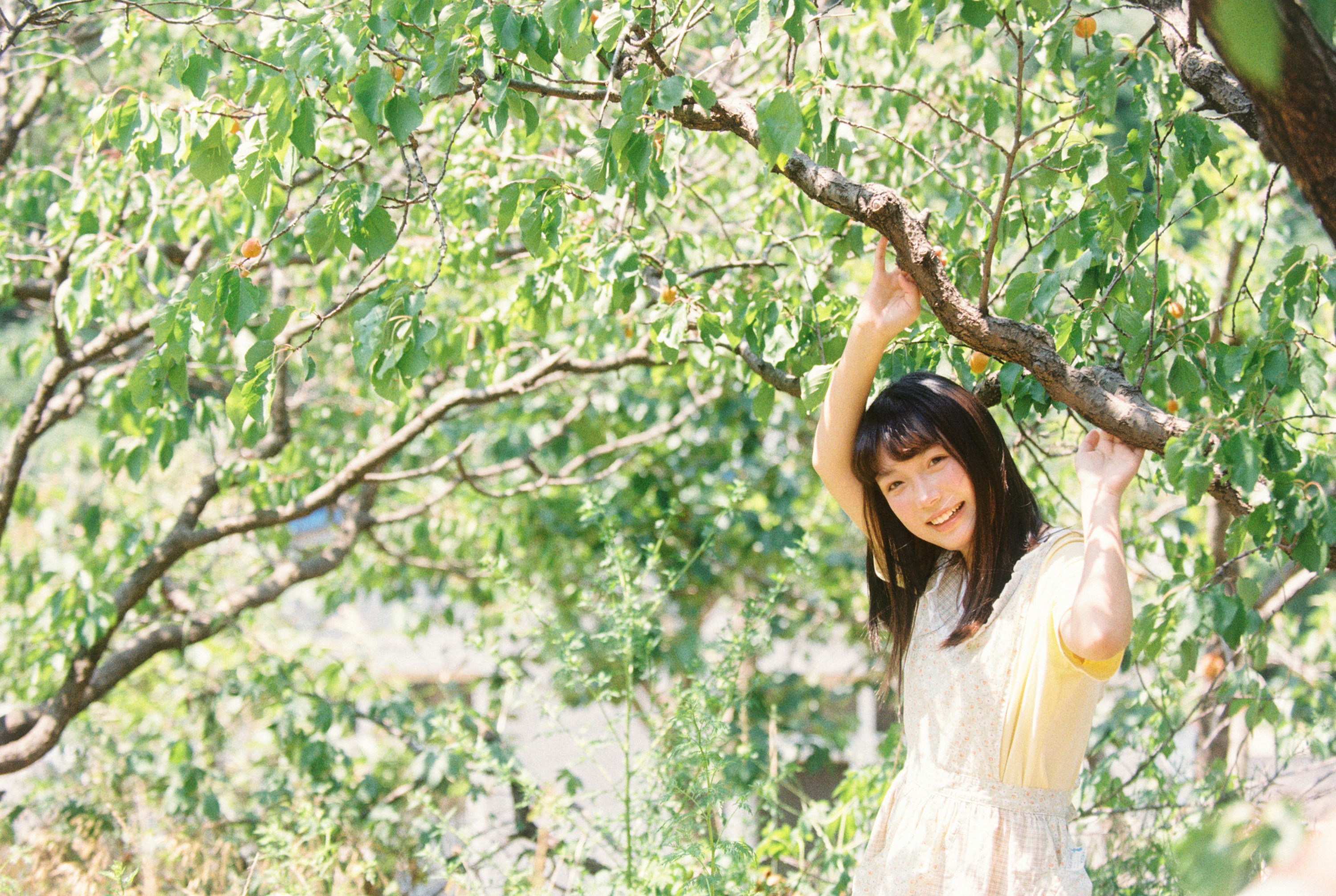 1028 - 《采杏子的女孩》[17P] 插图5