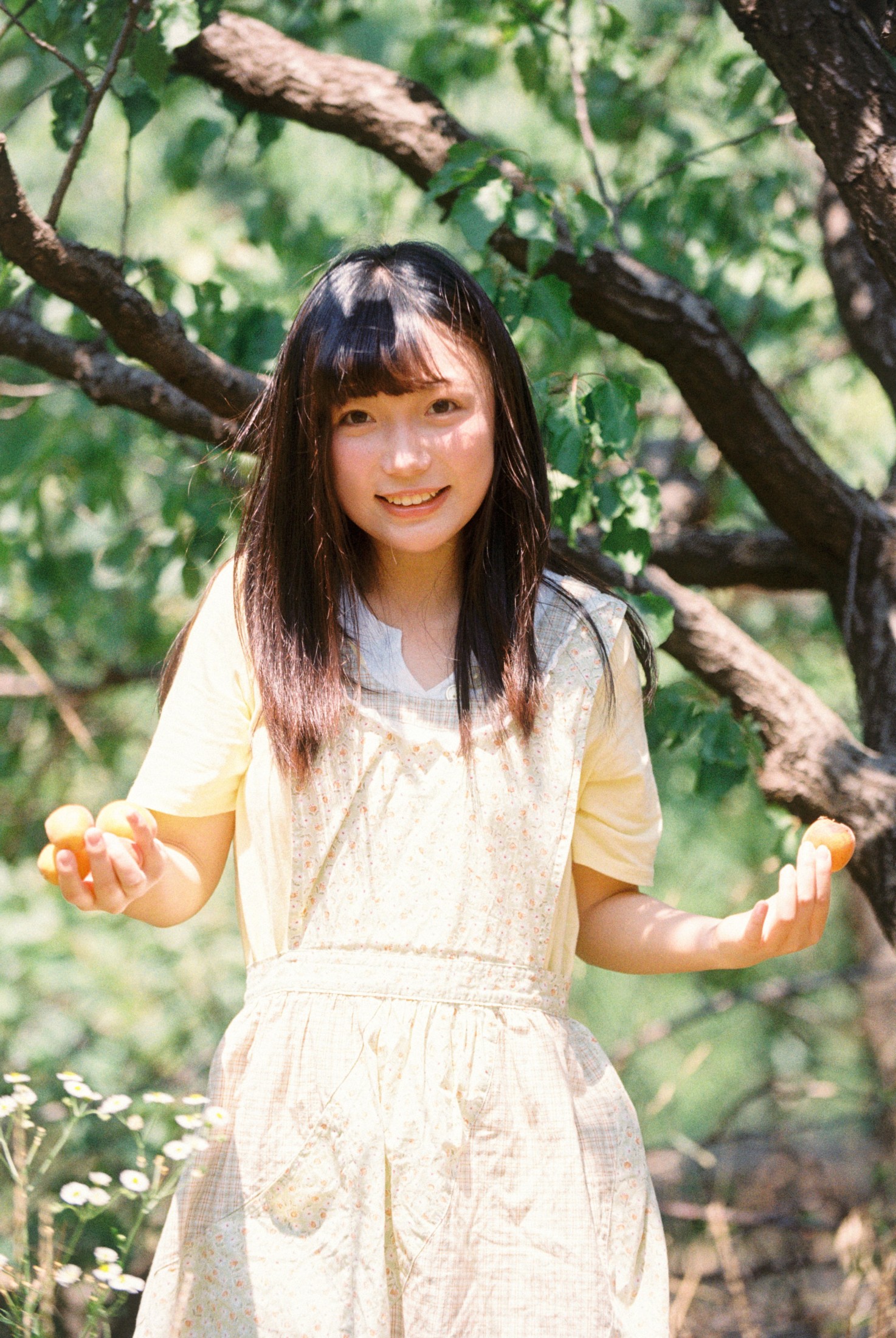 1028 - 《采杏子的女孩》[17P] 插图3