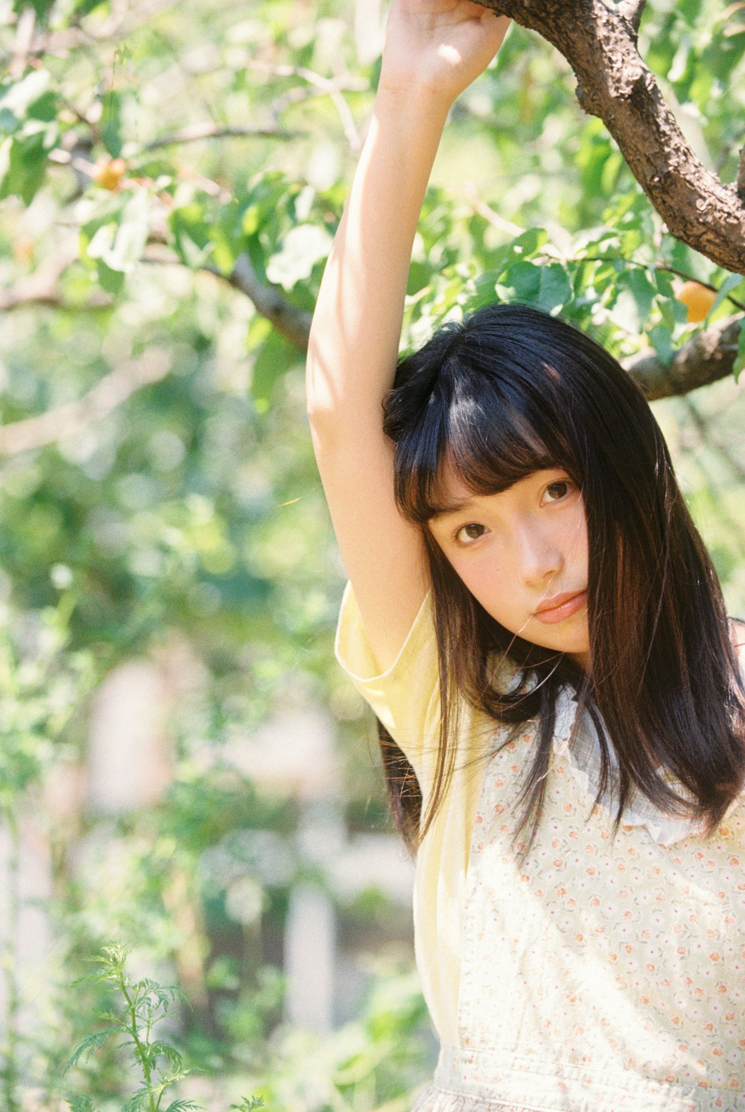 1028 - 《采杏子的女孩》[17P] 插图4