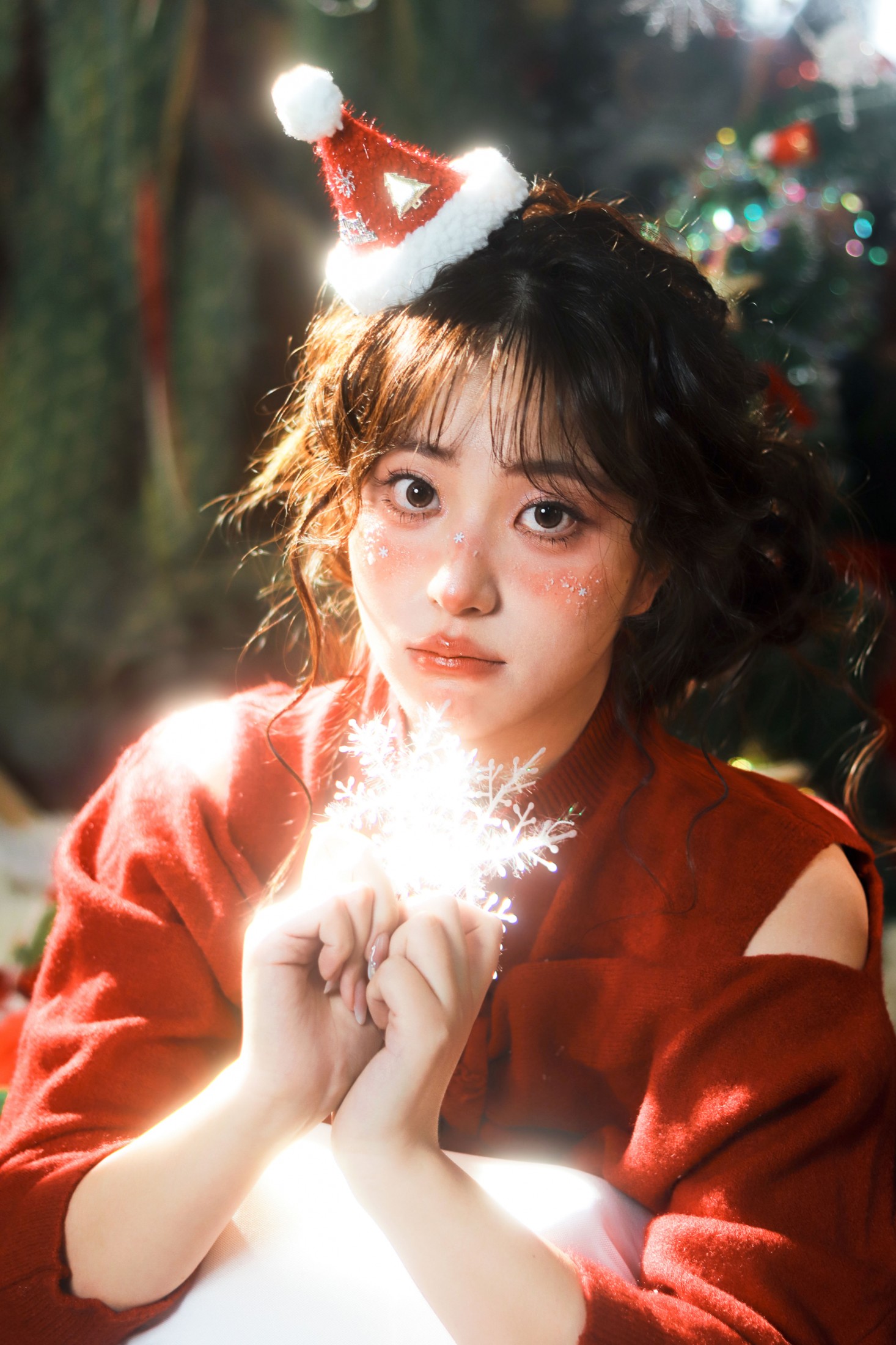 ID12823圣诞快乐-妍画集